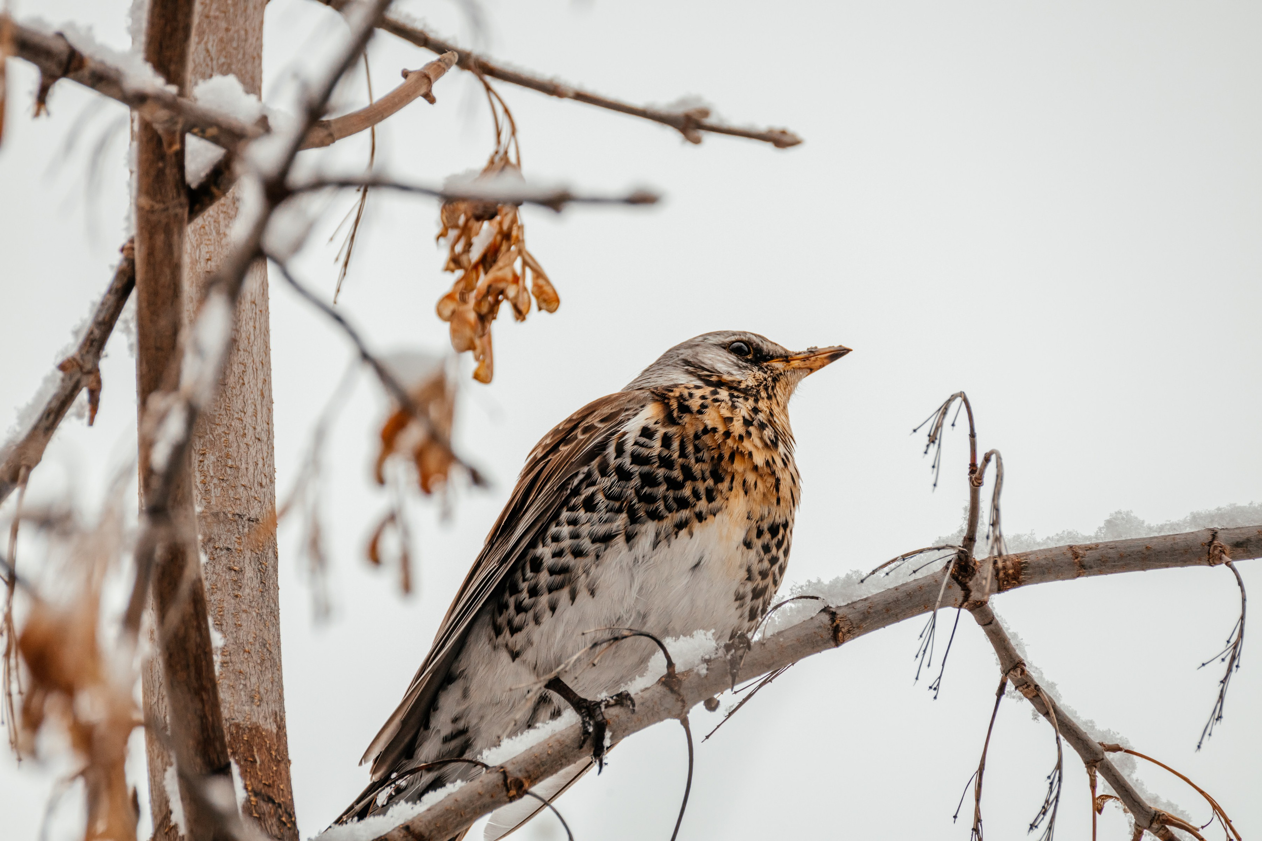Природа. Фотограф в Красноярске Оксана Корчагина