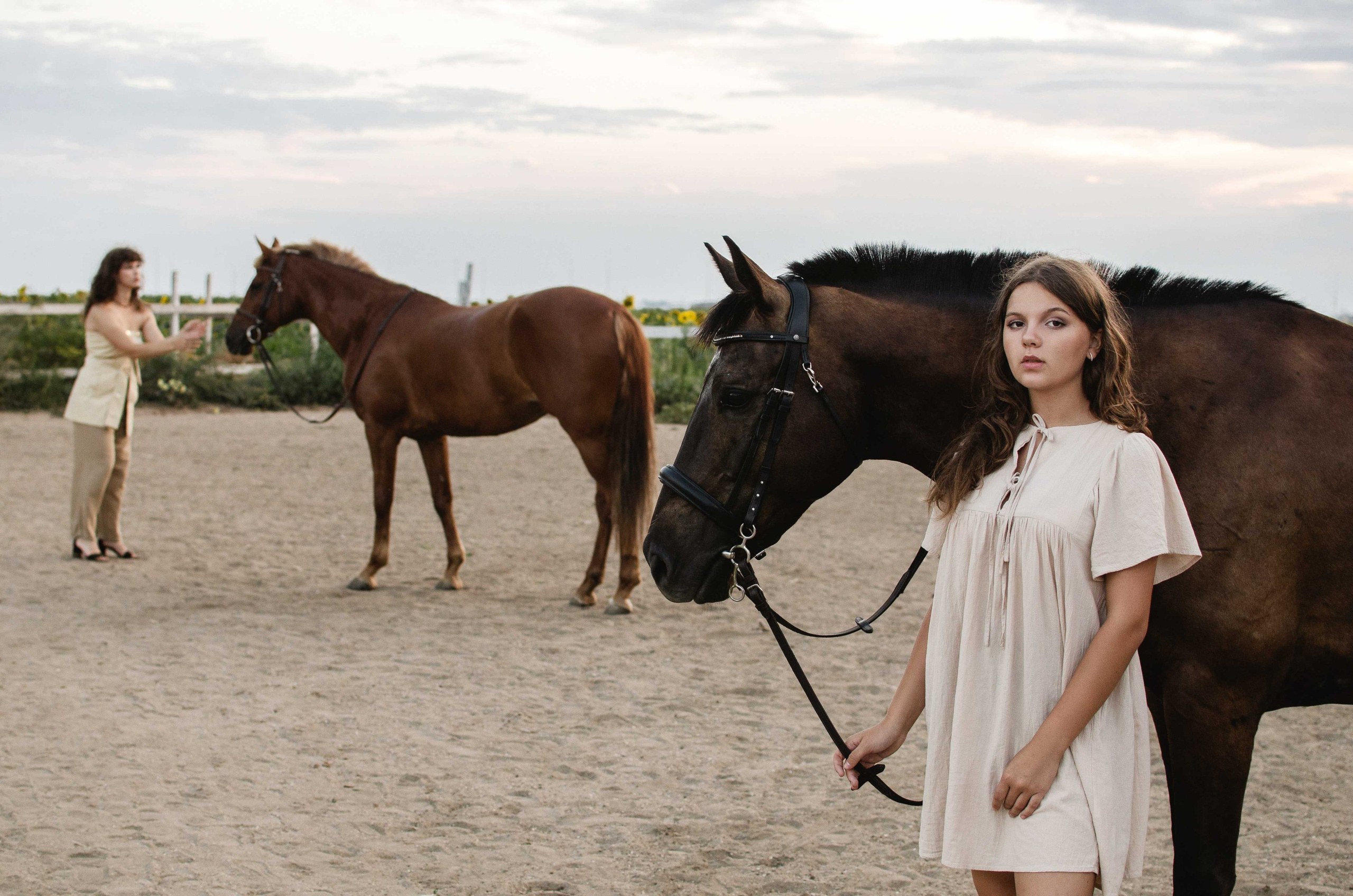 Фотосессия с лошадьми пример