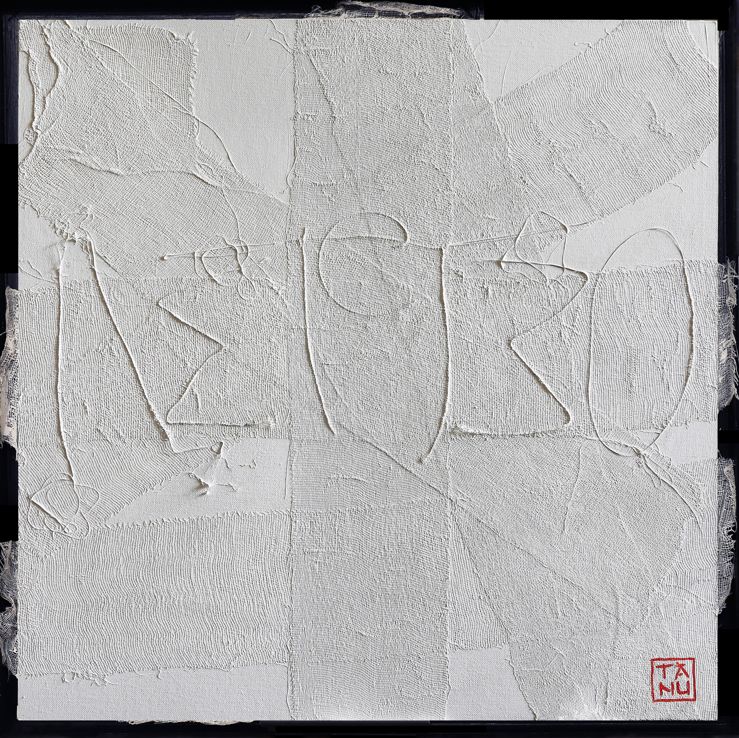 Художник  Татьяна Суслова (TANU). СОАВТОРЫ