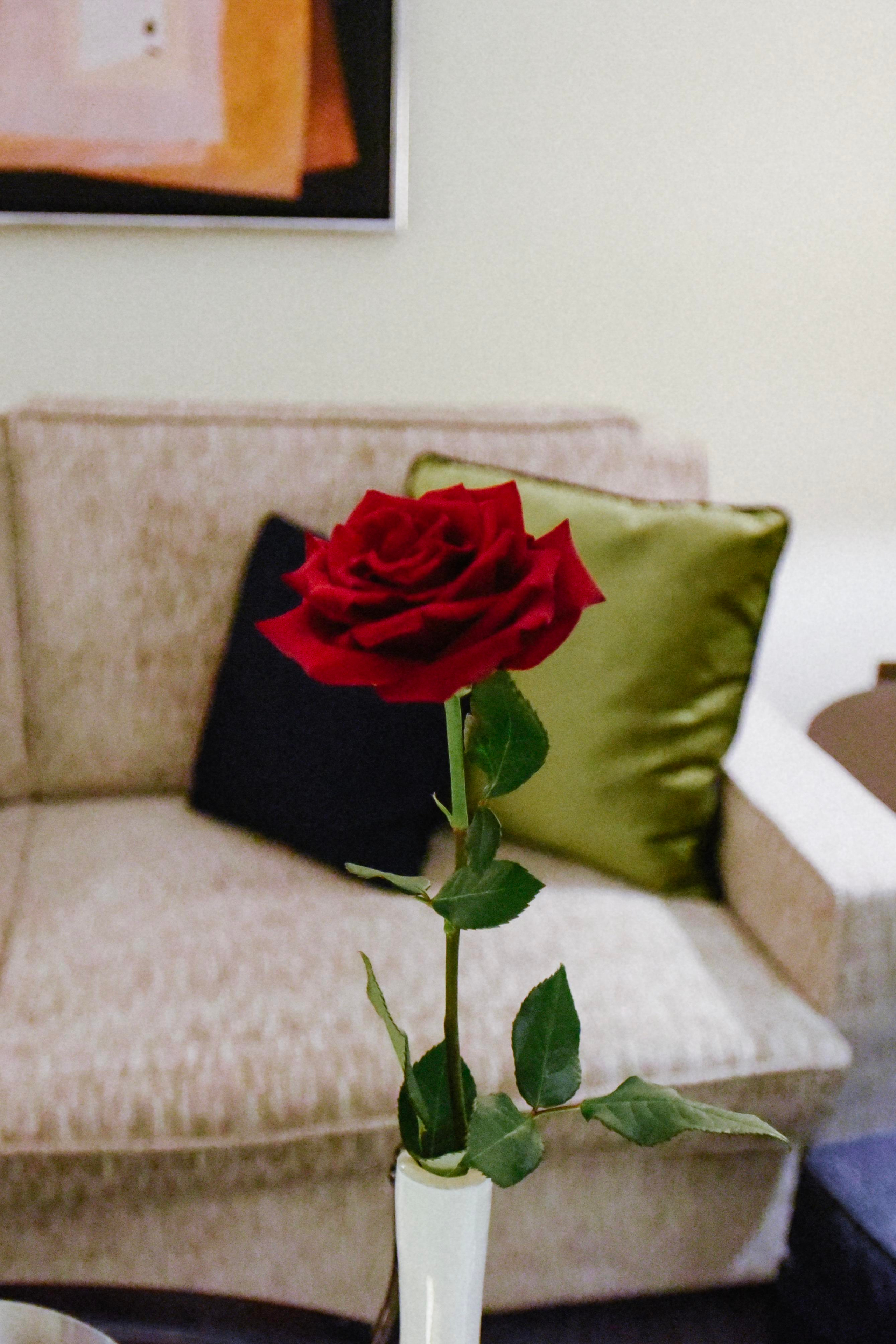 Дамир и Олеся Four Seasons Hotel Moscow 5*. Фотограф Лола Волна, город Москва