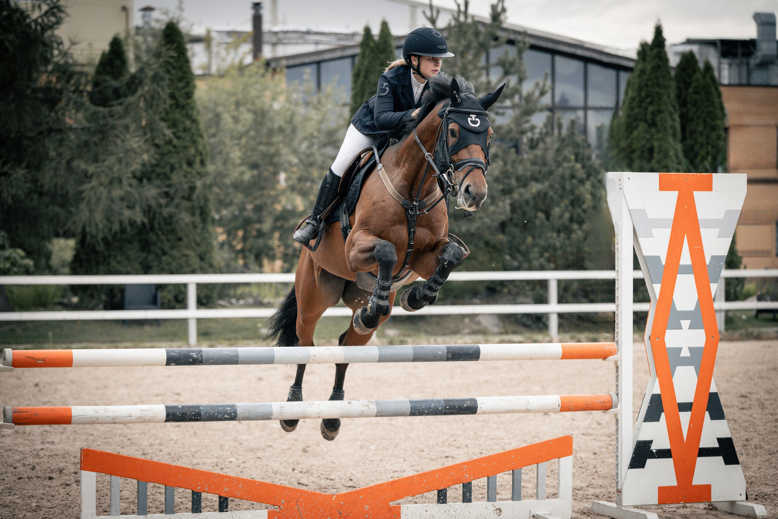 Лошади Евы Демидовой. Ева Демидова. Спортсмен по конкуру в Санкт-Петербуре