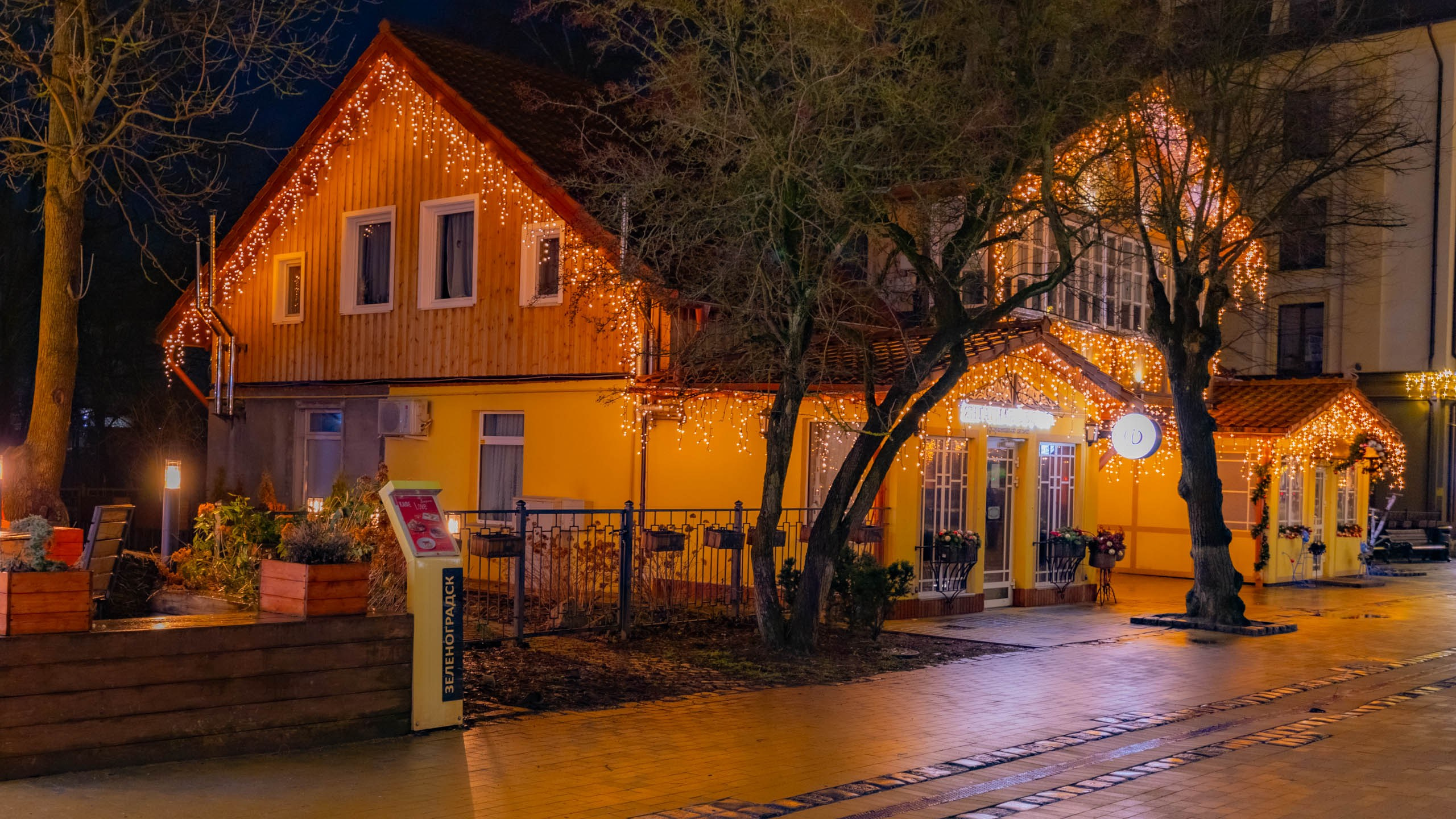 2024 01 Калининград (Светлогорск, Зеленоградск). Фотографии