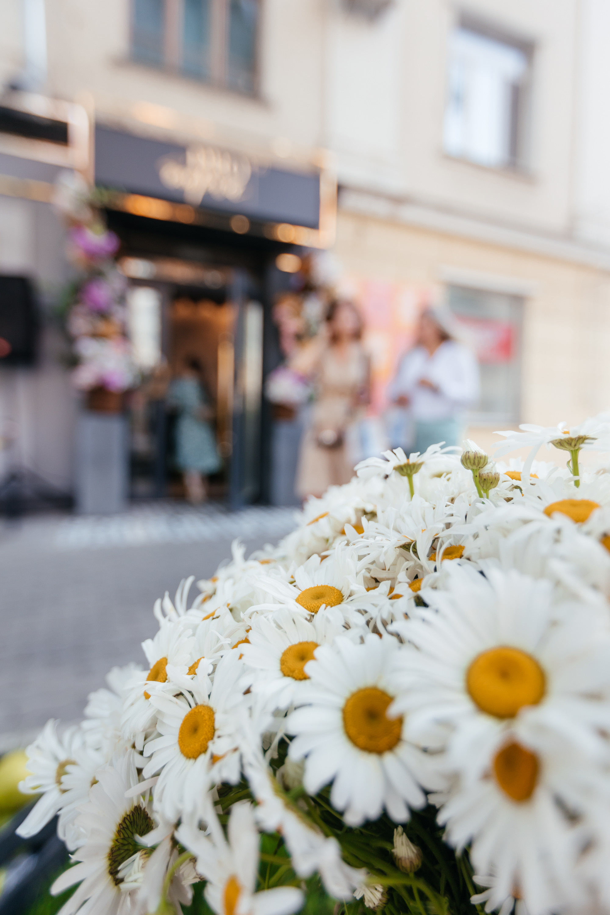 PROBIRKA21 [Romanovamakeup]. СВОИ. ФОТООТЧЕТЫ-СОБЫТИЯ-МЕСТА