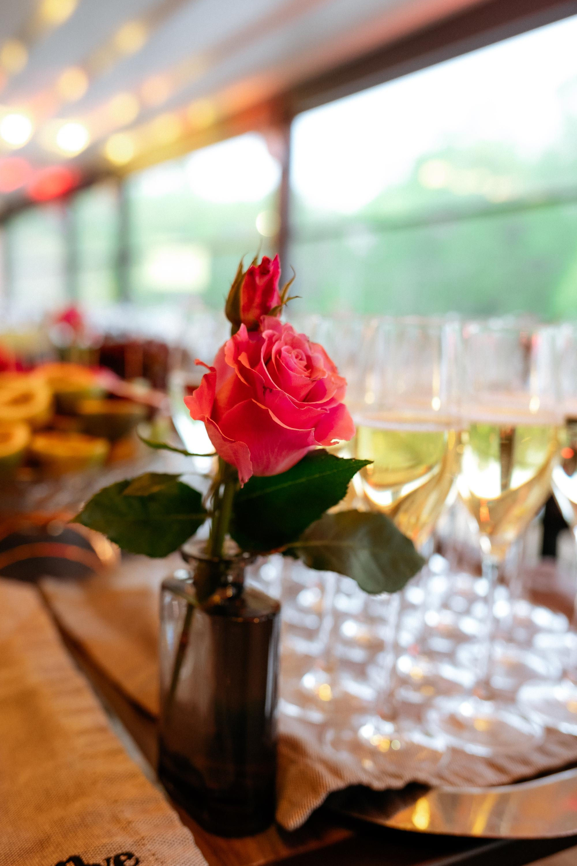 Euphoria [открытие террасы InLove by REGENT]. СВОИ. ФОТООТЧЕТЫ-СОБЫТИЯ-МЕСТА