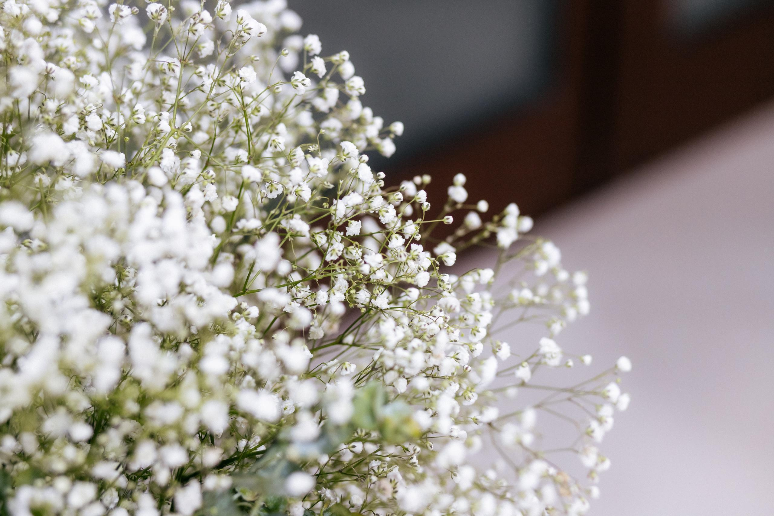 НАСЛАЖДЕНИЕ [FASHION PARTY]. СВОИ. ФОТООТЧЕТЫ-СОБЫТИЯ-МЕСТА