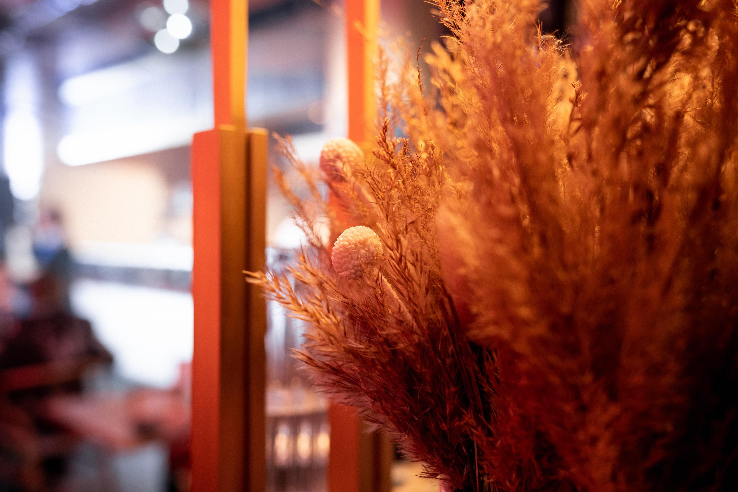 MAIN WINE [АМУРСКИЕ ПРЕДАНИЯ]. СВОИ. ФОТООТЧЕТЫ-СОБЫТИЯ-МЕСТА