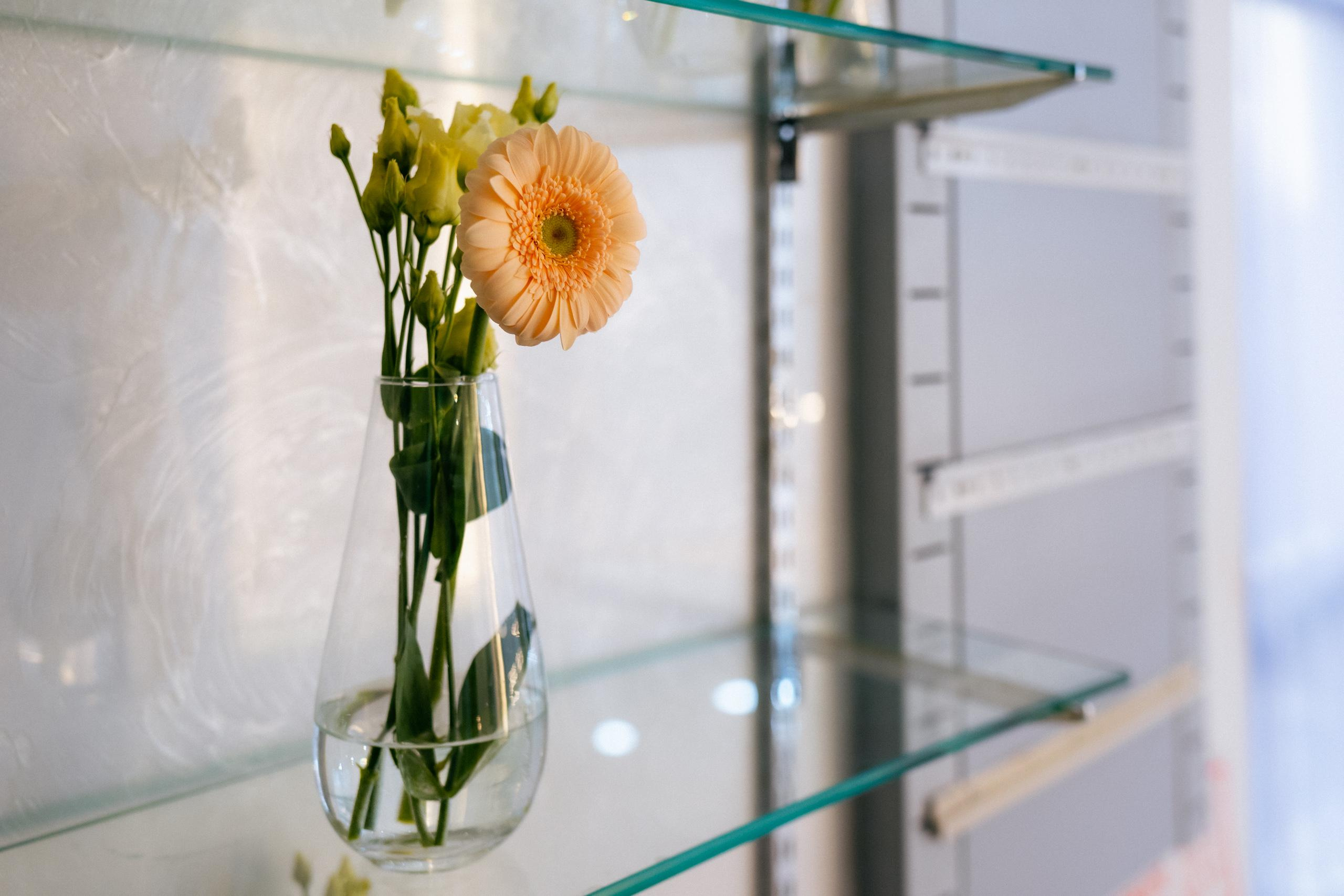 НАСЛАЖДЕНИЕ [FASHION PARTY]. СВОИ. ФОТООТЧЕТЫ-СОБЫТИЯ-МЕСТА