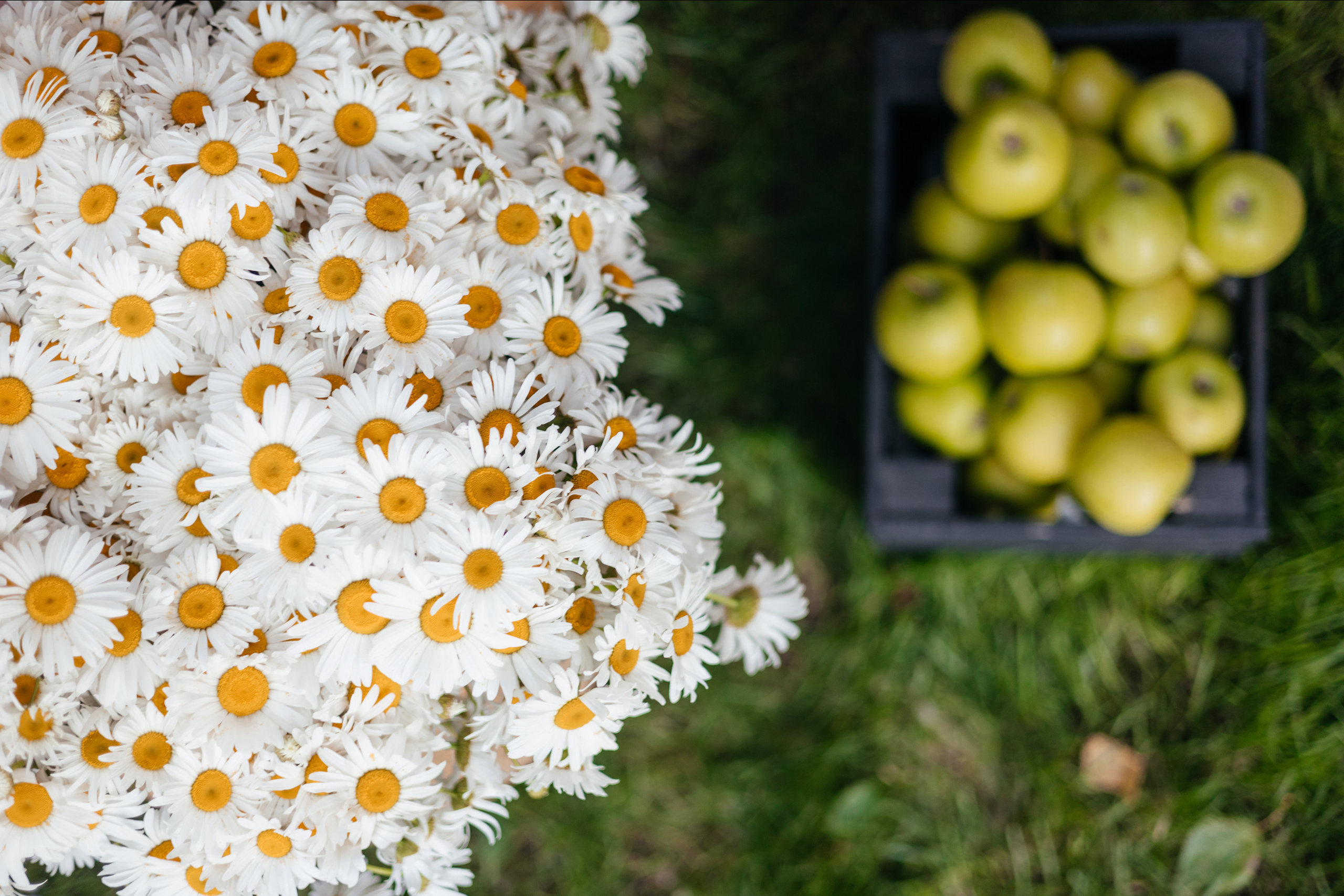 PROBIRKA21 [Romanovamakeup]. СВОИ. ФОТООТЧЕТЫ-СОБЫТИЯ-МЕСТА