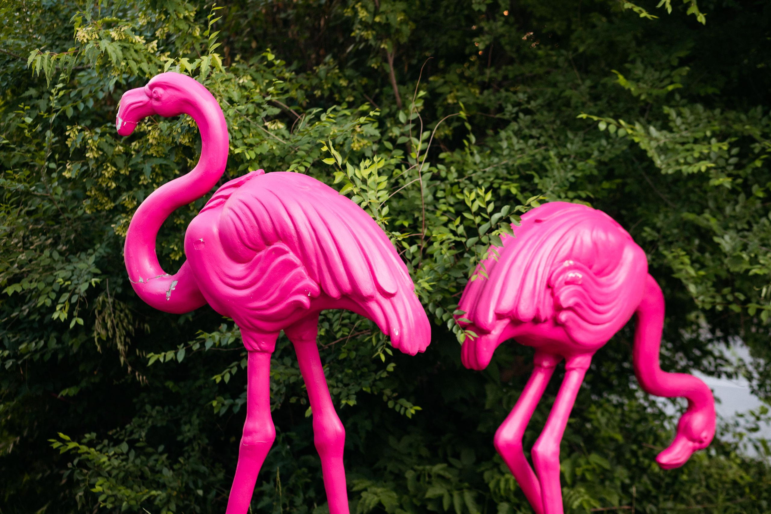 ВИНОТЕКА БАР х МАГАЗ [2 ГОДА]. СВОИ. ФОТООТЧЕТЫ-СОБЫТИЯ-МЕСТА