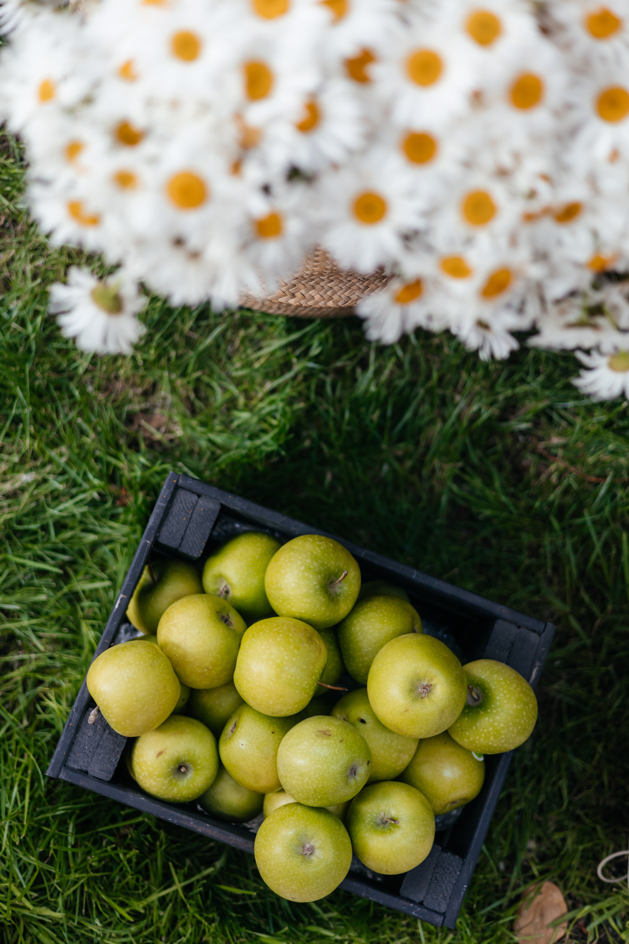 PROBIRKA21 [Romanovamakeup]. СВОИ. ФОТООТЧЕТЫ-СОБЫТИЯ-МЕСТА