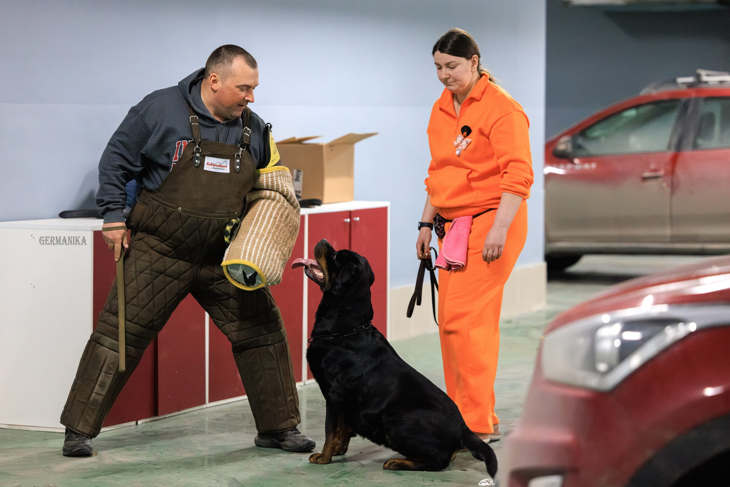 Сфера 08 и 10.03.2024 2хмоно ротвейлеров+2хмоно сао. Фотограф-анималист Юлия Германика