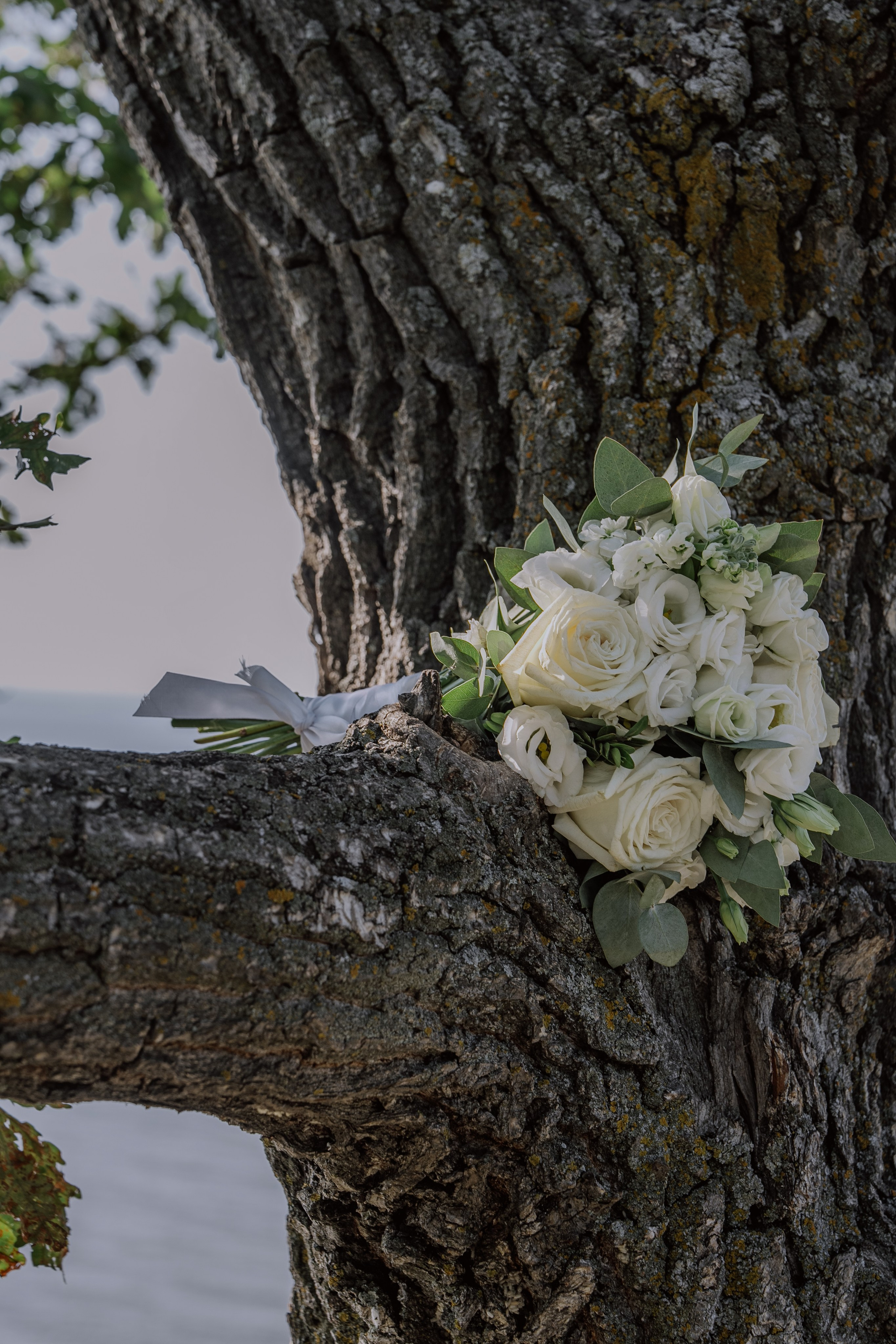 Сергей и Вероника 2024