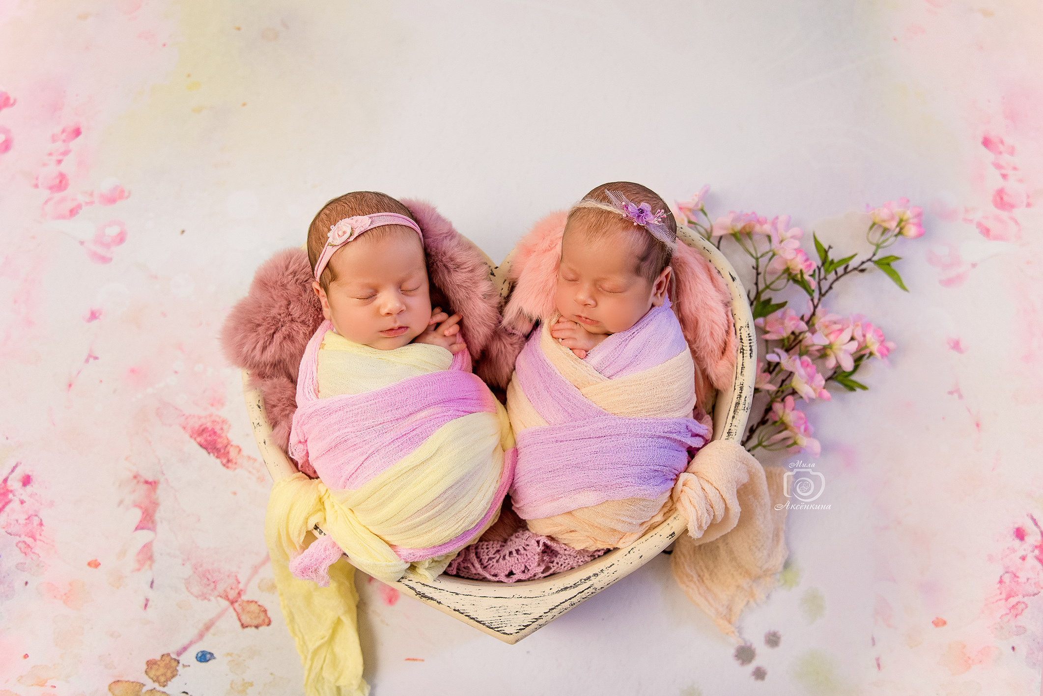 Портфолио новорожденных. Фотограф в Нефтеюганске Мила Аксёнкина