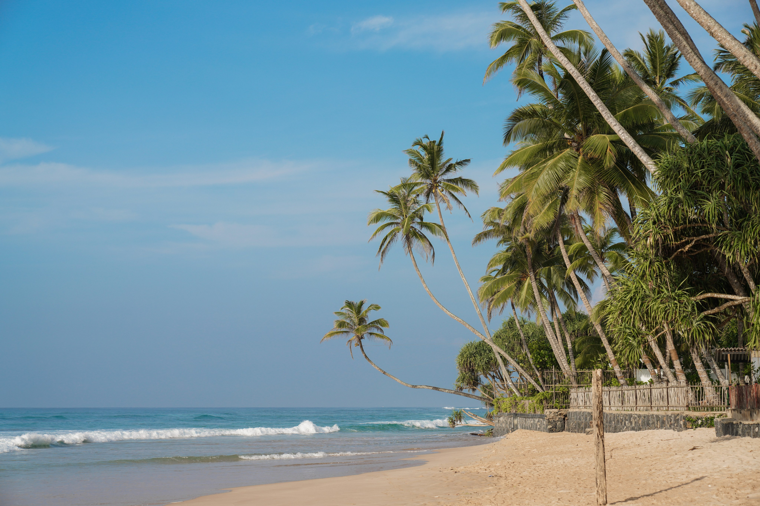 Остров Шри-Ланка. Фотограф Сергей Кишкель Дананг Нячанг Фукуок
