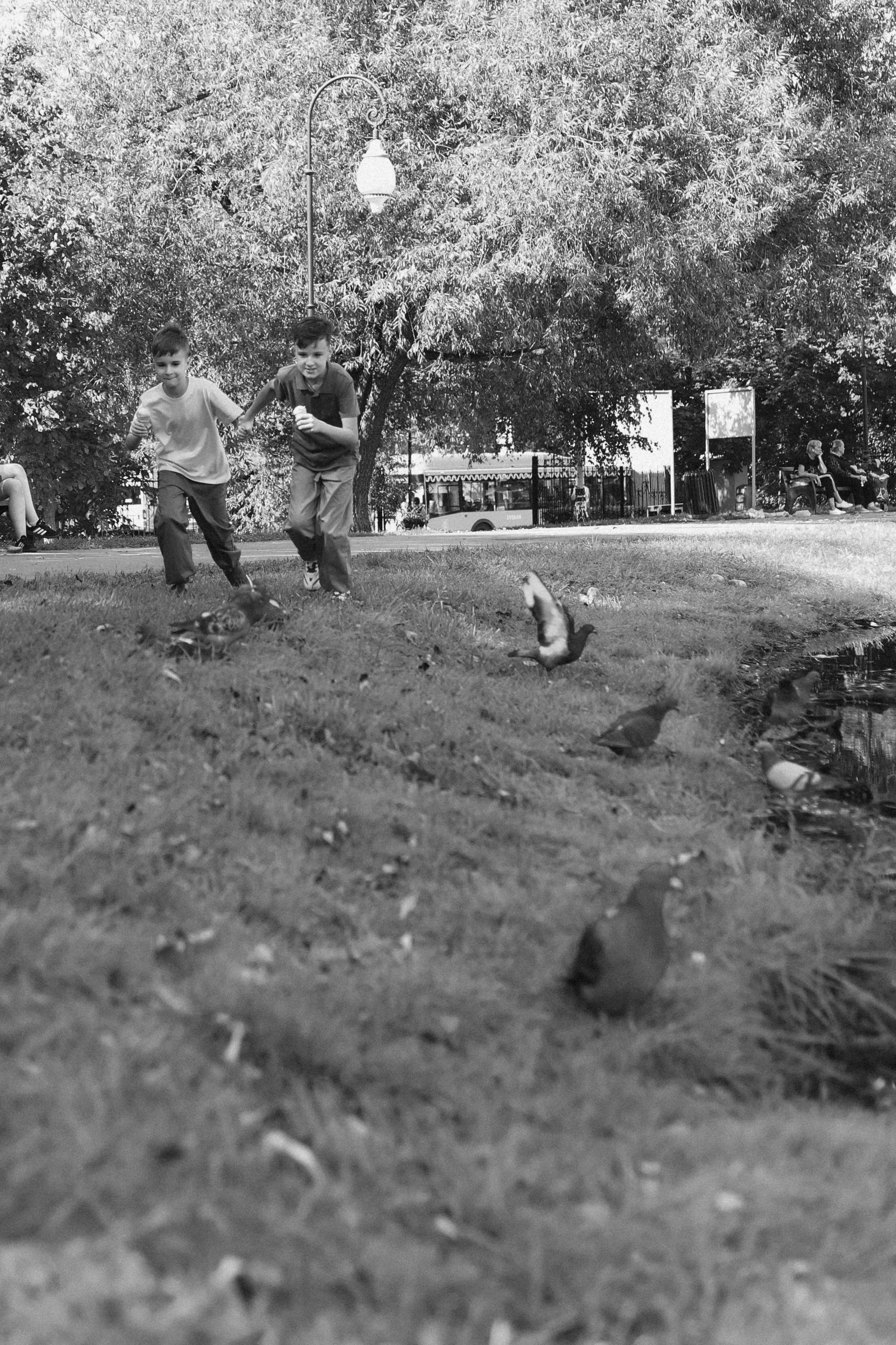 Пруды. Фотограф НатаФото (Наталья Яковенко) Дмитров Москва Питер