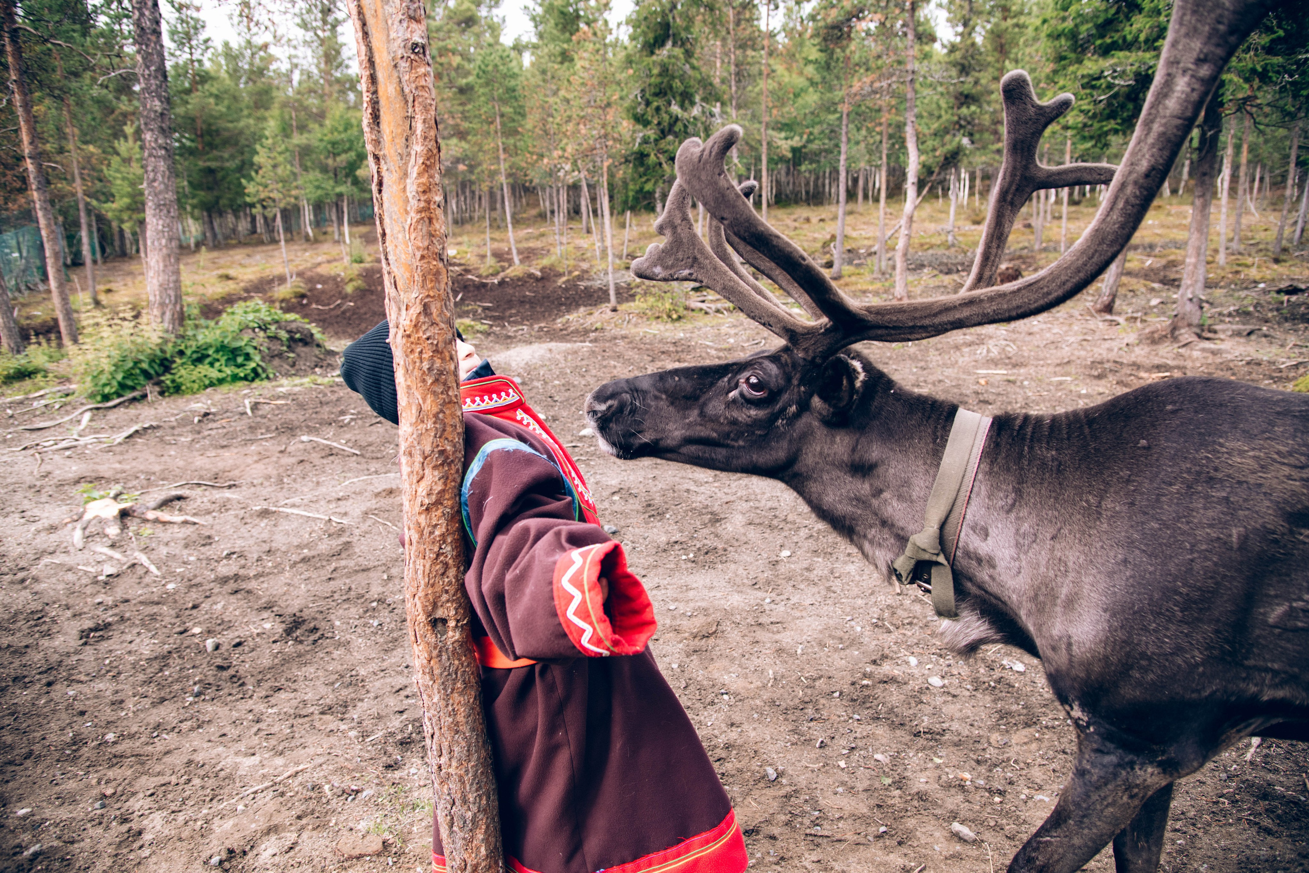Кольский полуостров. Фотографирую для себя, своей семьи и друзей!