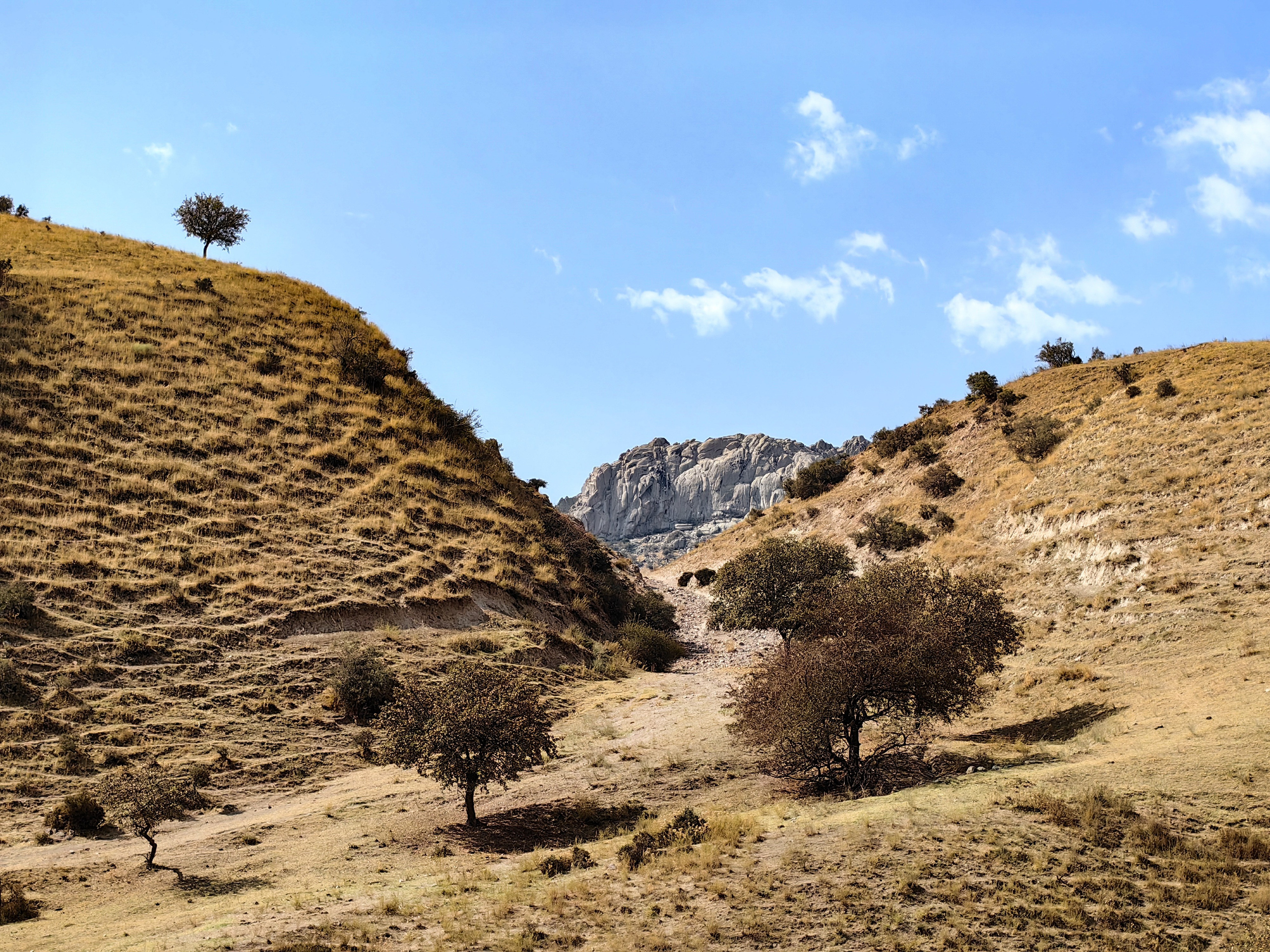 Узбекистан. Travel-фотограф Ирина Милинцова
