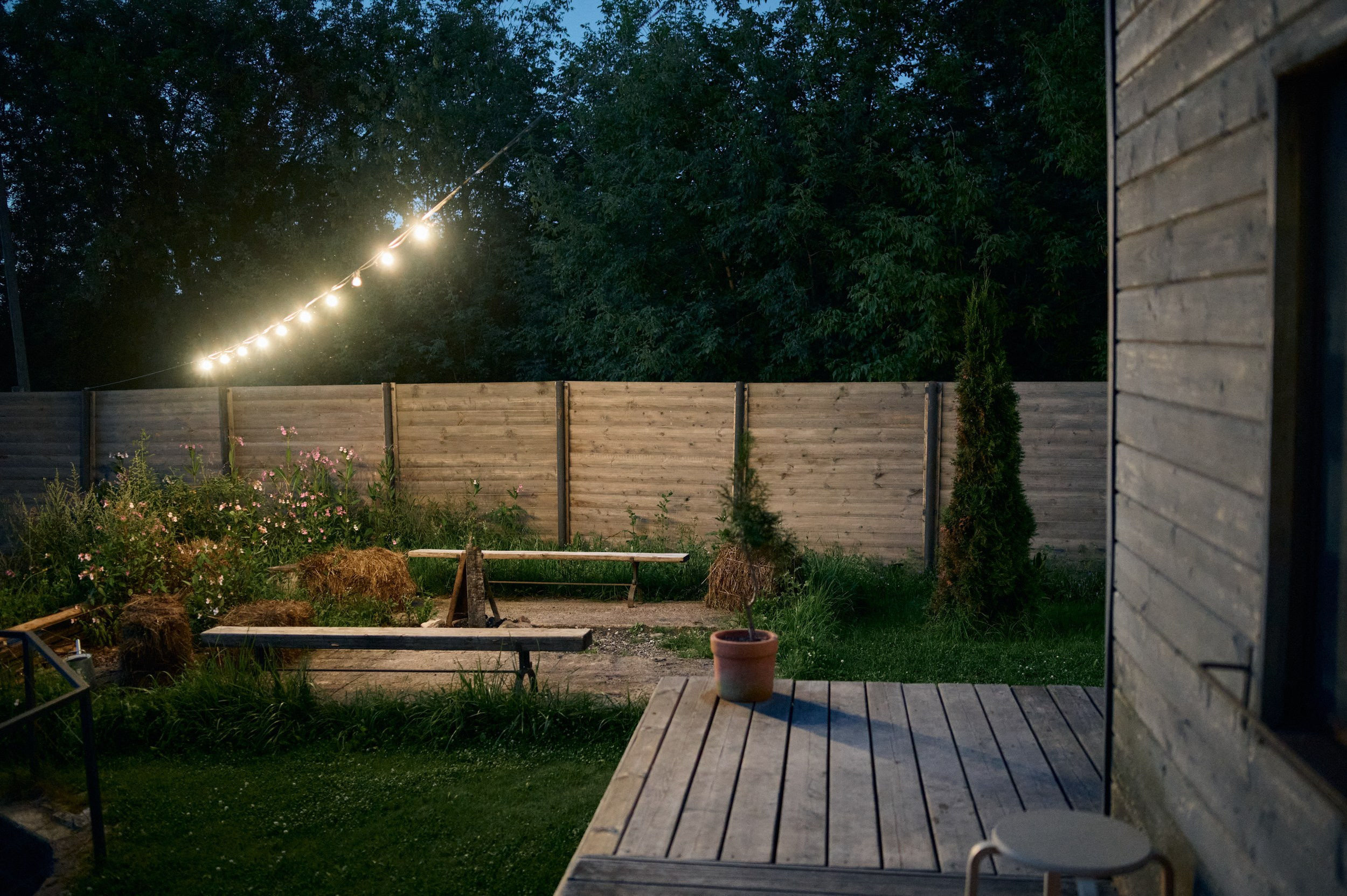 Артур и Таисия Даже без Алко бывает весело! 2023. Не только свадебный фотограф Чеглаков Алексей