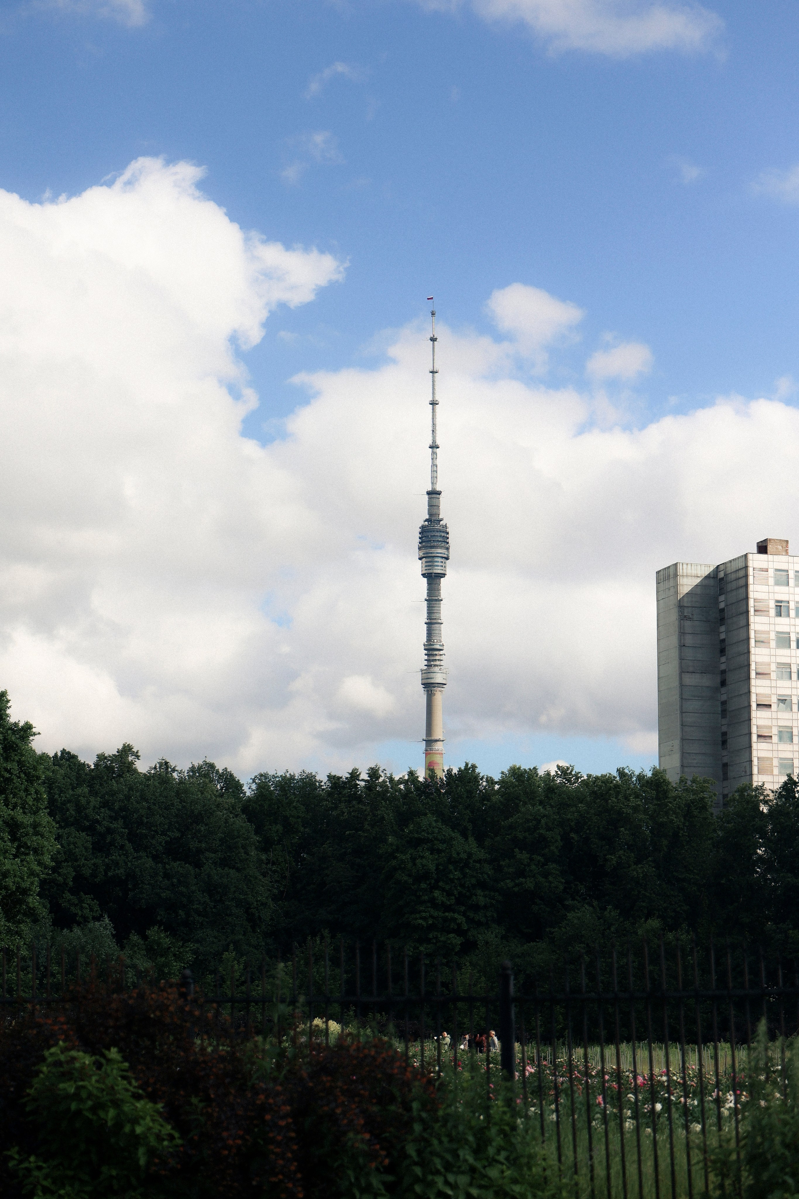 Лика и Андрей. Фотограф НатаФото (Наталья Яковенко) Дмитров Москва Питер
