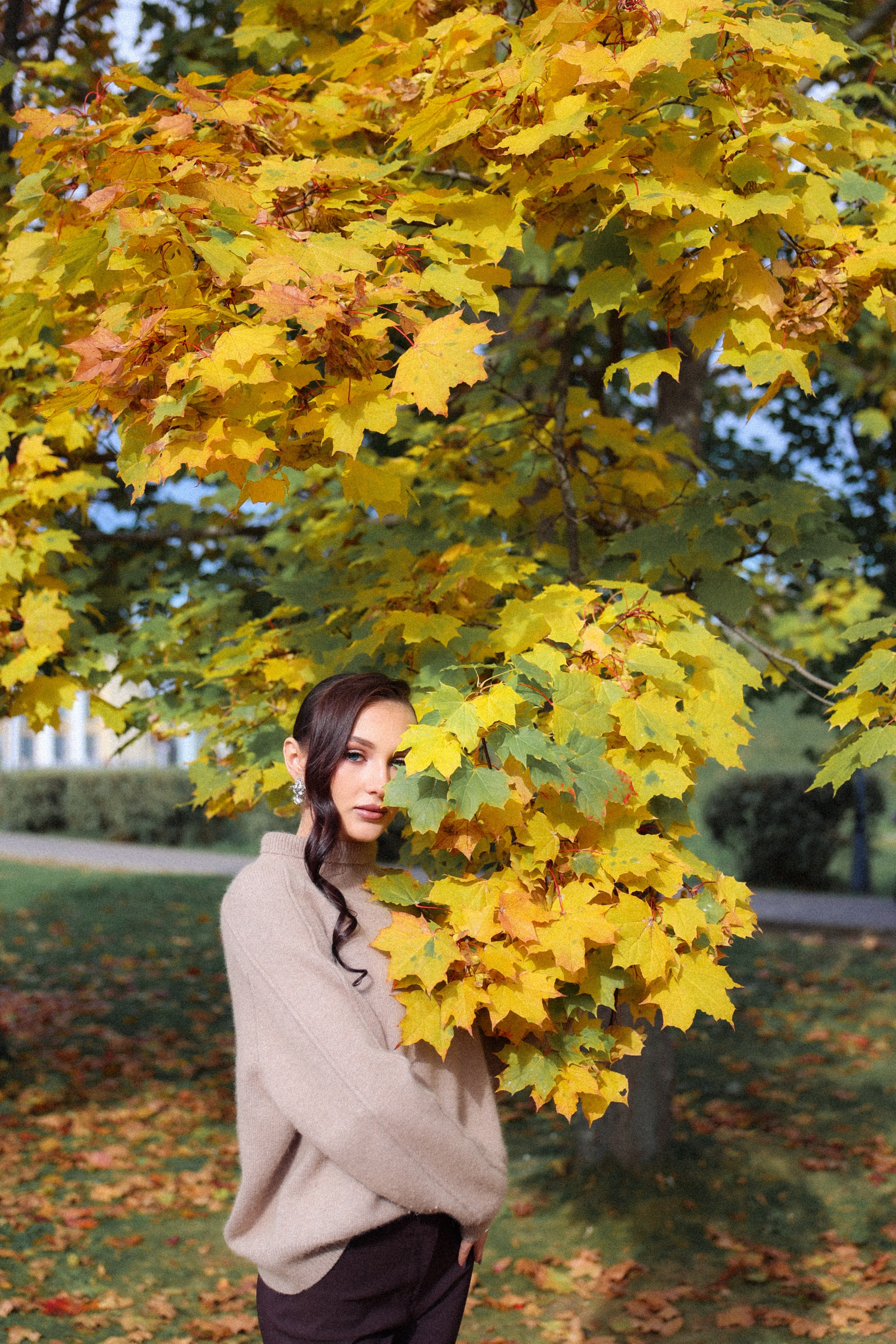 Вероника. Фотограф НатаФото (Наталья Яковенко) Дмитров Москва Питер