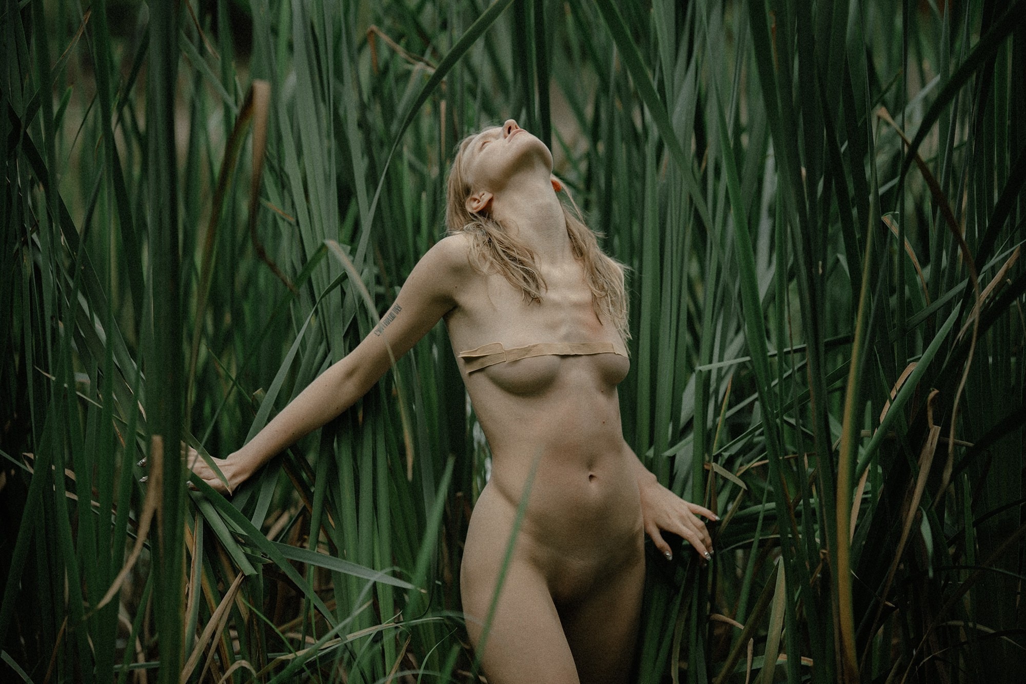 Portfolio. Maxim Tminov