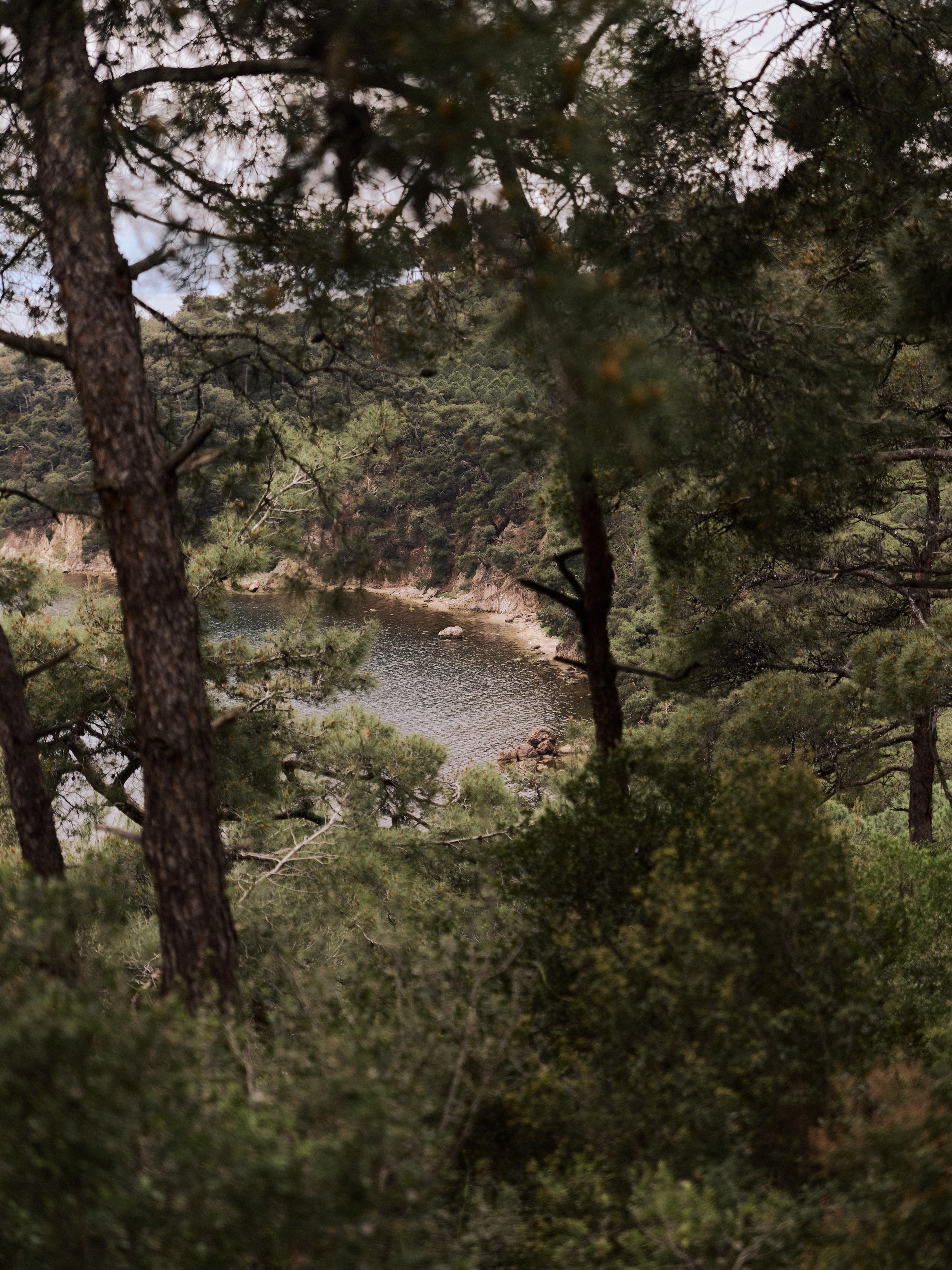 Диптих. Jorgis — фотограф в Хургаде / обучение фотографии