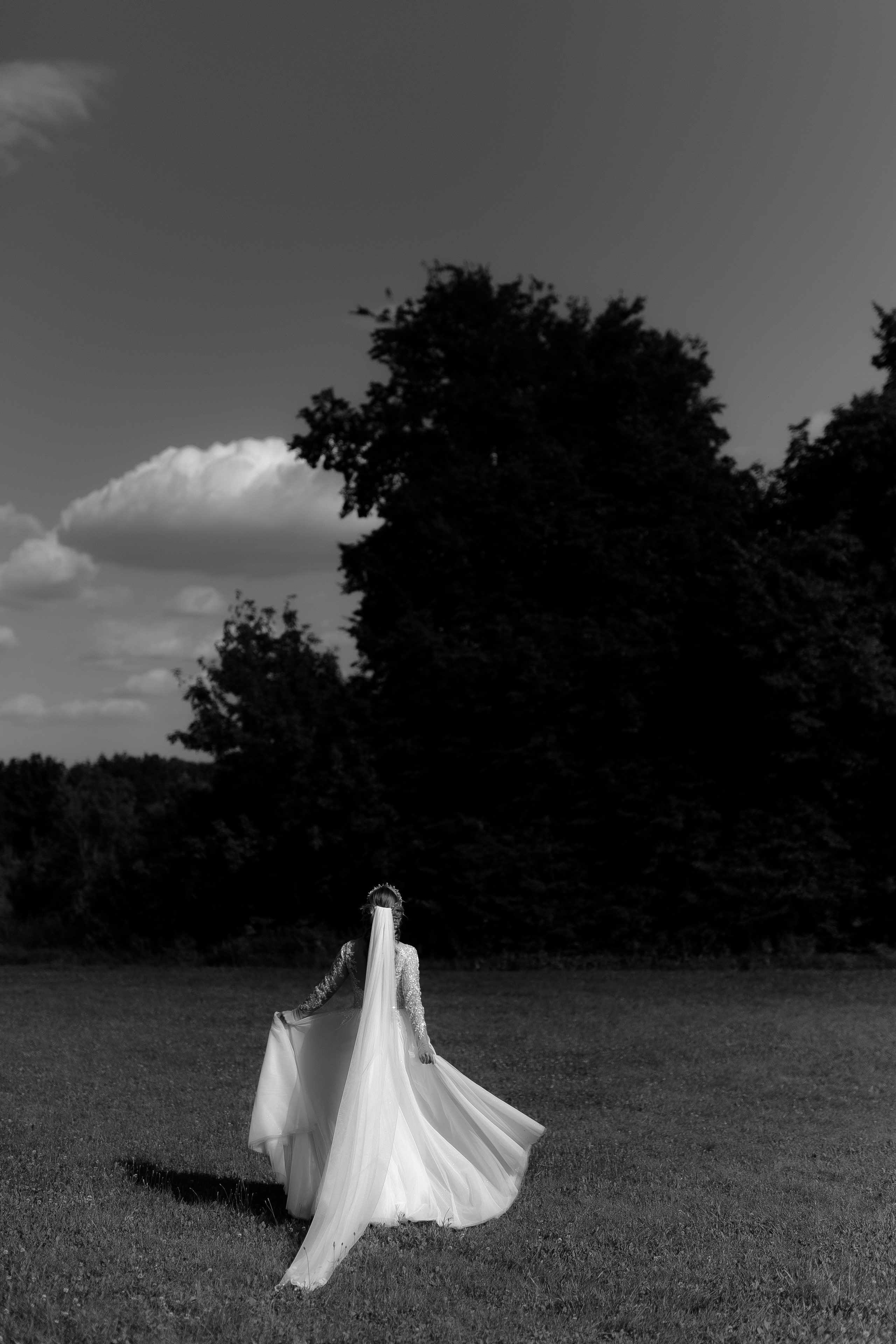 Свадьба Дмитрия и Екатерины. Фотограф Кольчугино/Владимир/Москва Елизавета Иода