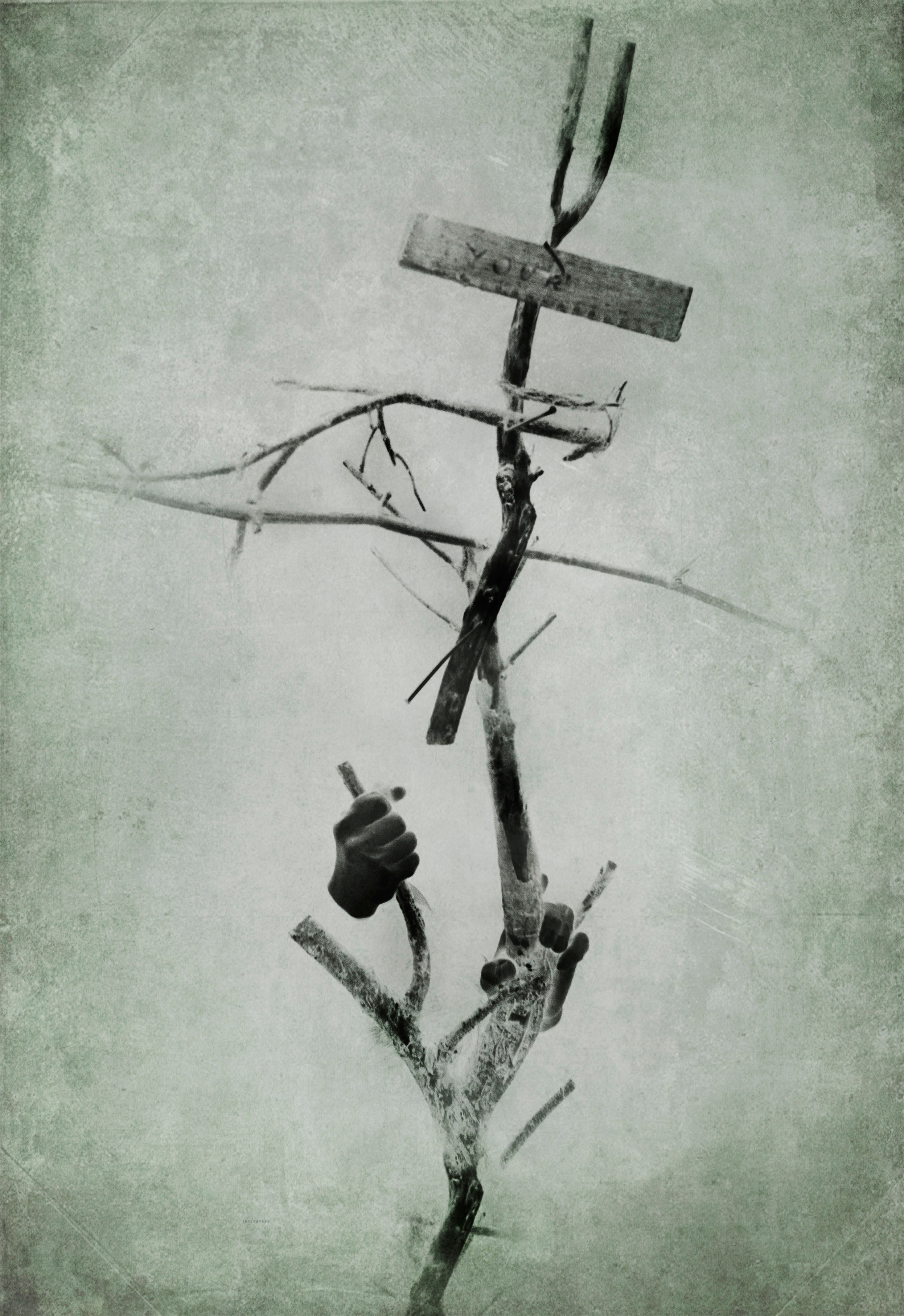 Digital Art (pictorialism). Photo artist Adomas Dombrauskas