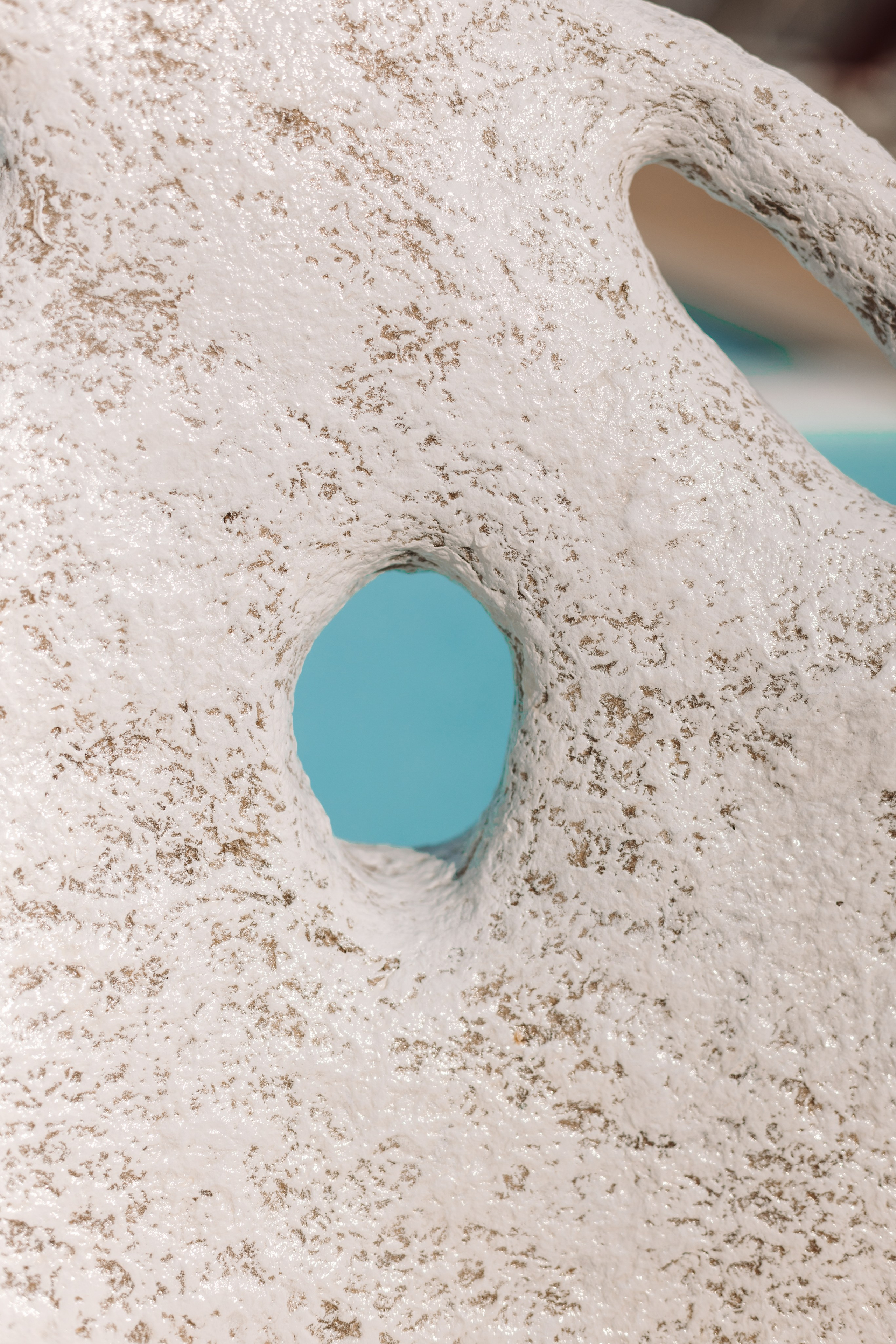 Kseniya Torgashina Designer. Фотограф на Юге России