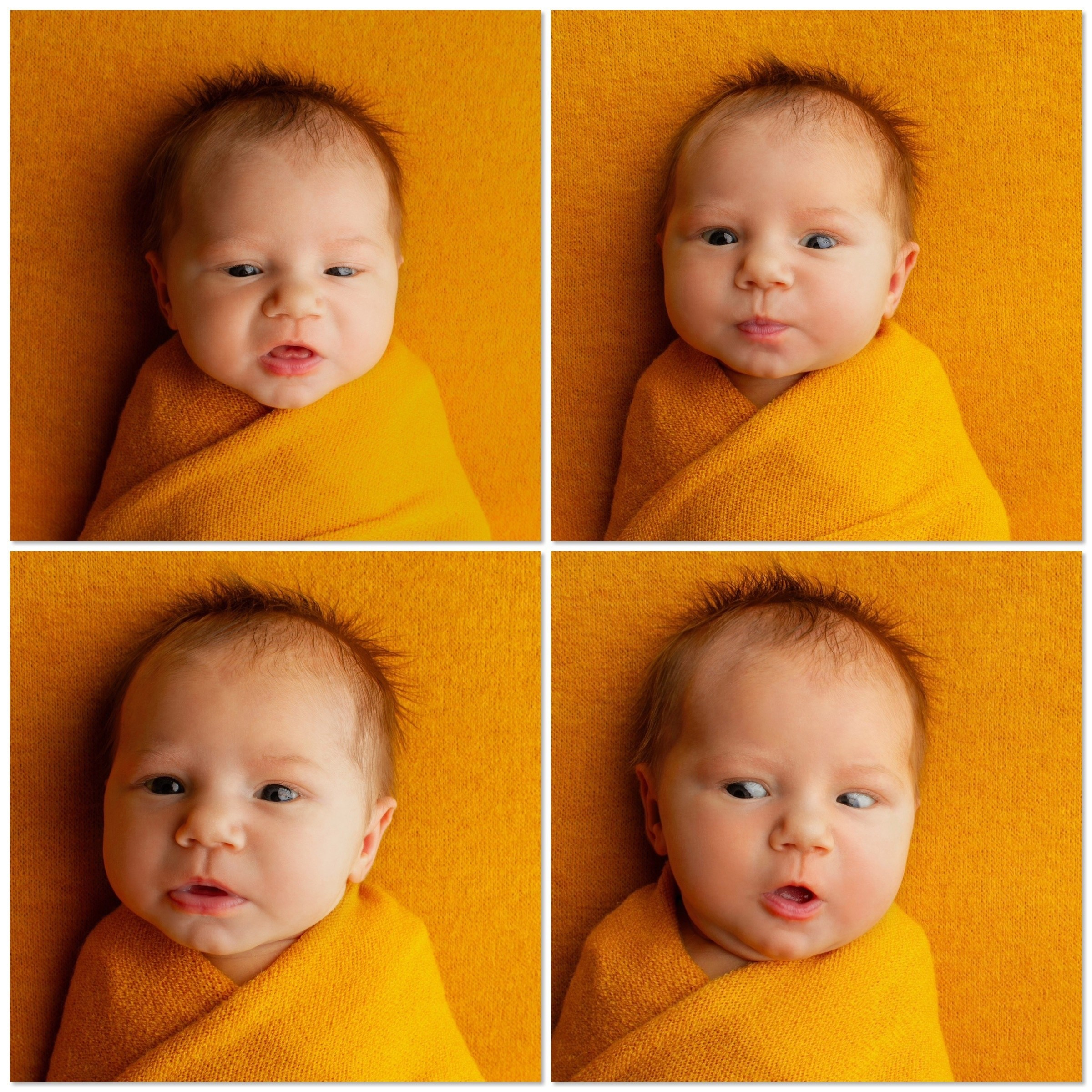 Фото новорождённых. Фотограф новорождённых в Новомосковске Яна Иванушкина