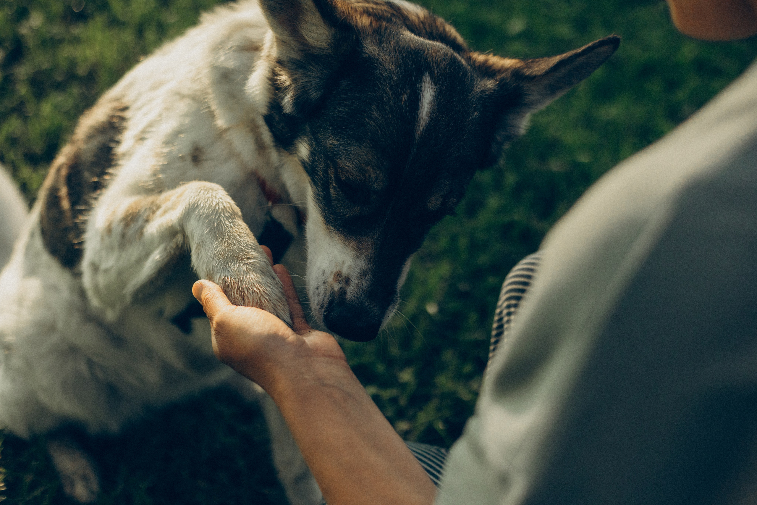 Варя и Зося. Татьяна Афонина | Фотограф