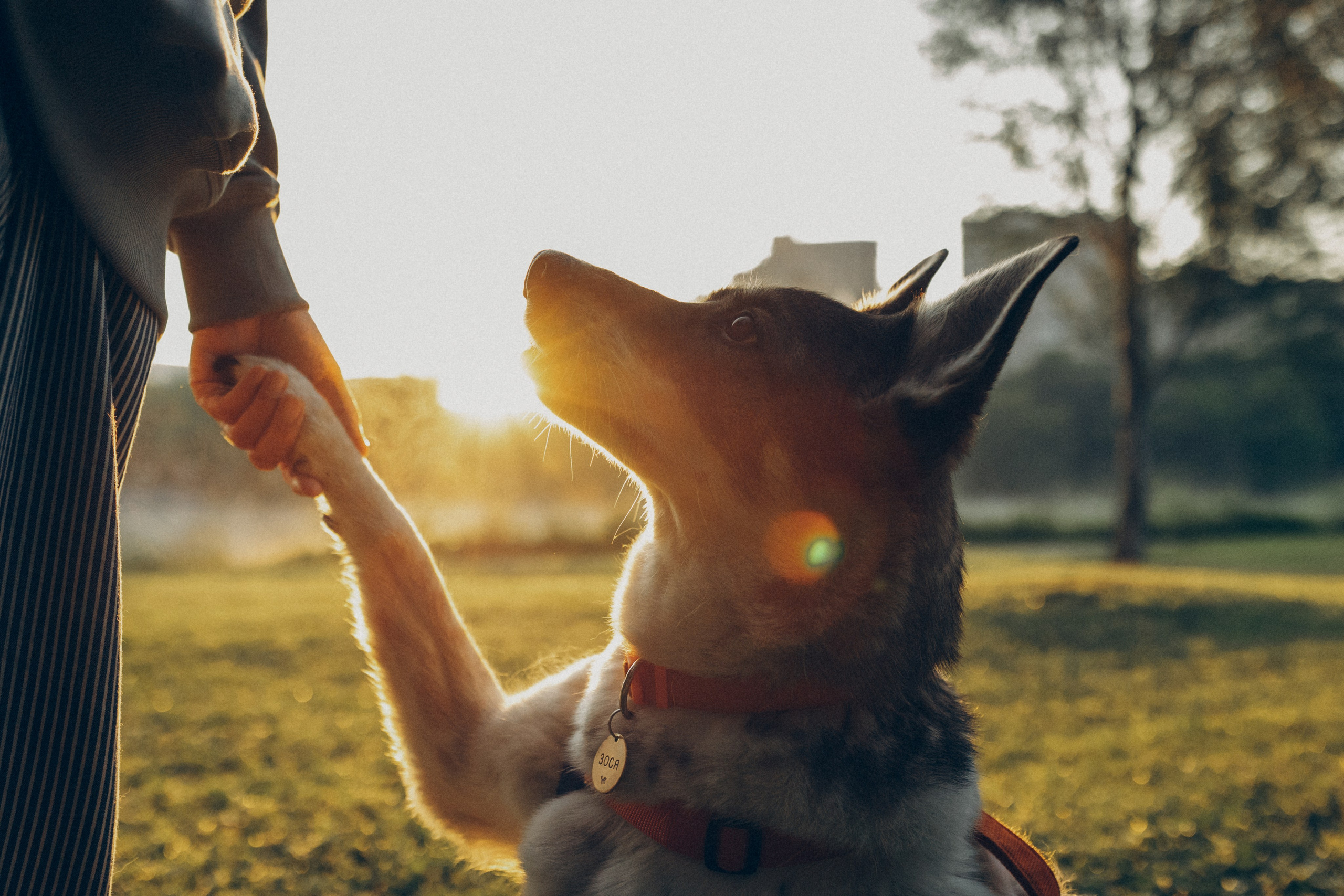 Варя и Зося. Татьяна Афонина | Фотограф