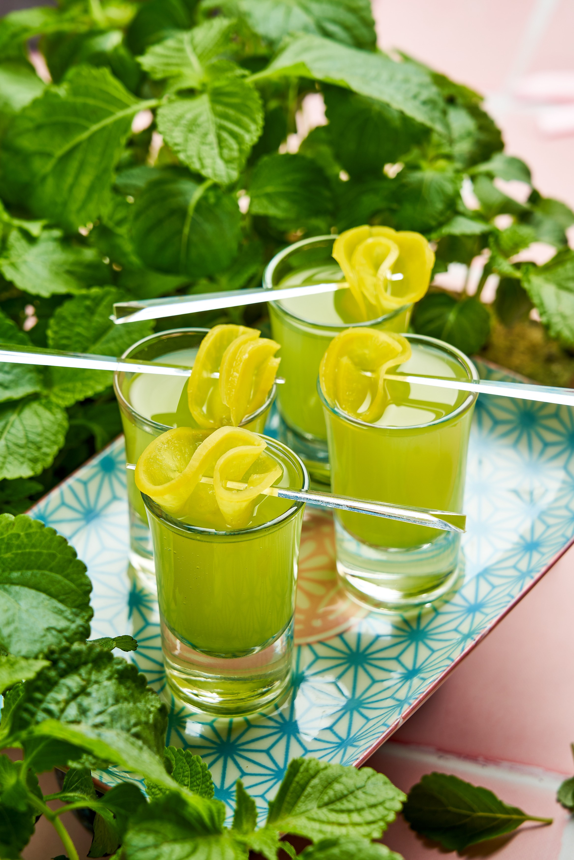 фотограф барного меню санкт-петербург