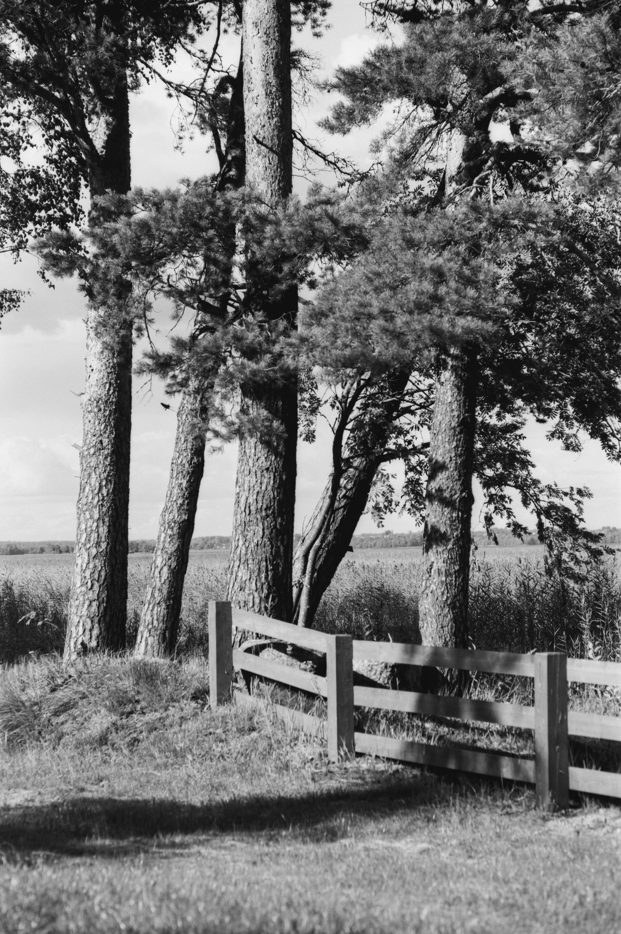 Маяк Вуохенсало, озеро Отрадное, Воронов Форпост / Pentax FA 85 mm f/1