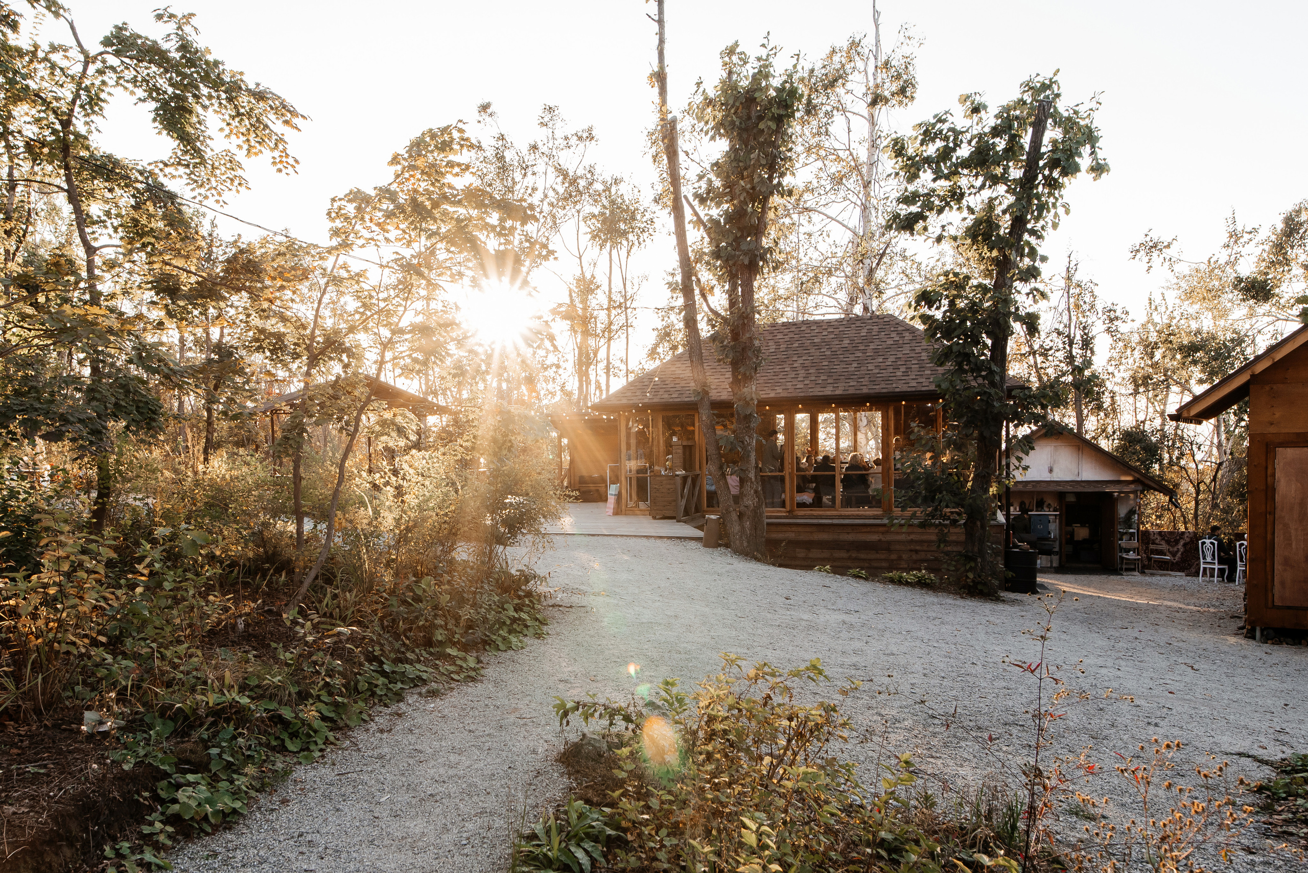 Свадебная съемка осенью в лесной локации. Свадебный фотограф Елена Рякина