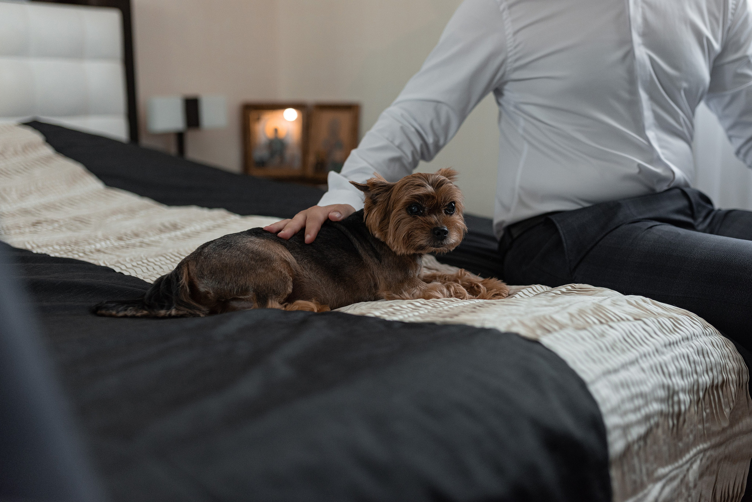Александр и Юлия. Свадебный фотограф Белгород Валуйки Старый Оскол Воронеж