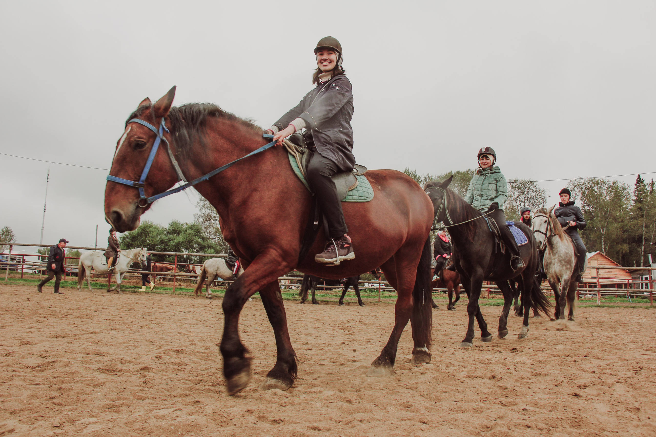Лошадинг | 27.09.2025. Галерея Фантим