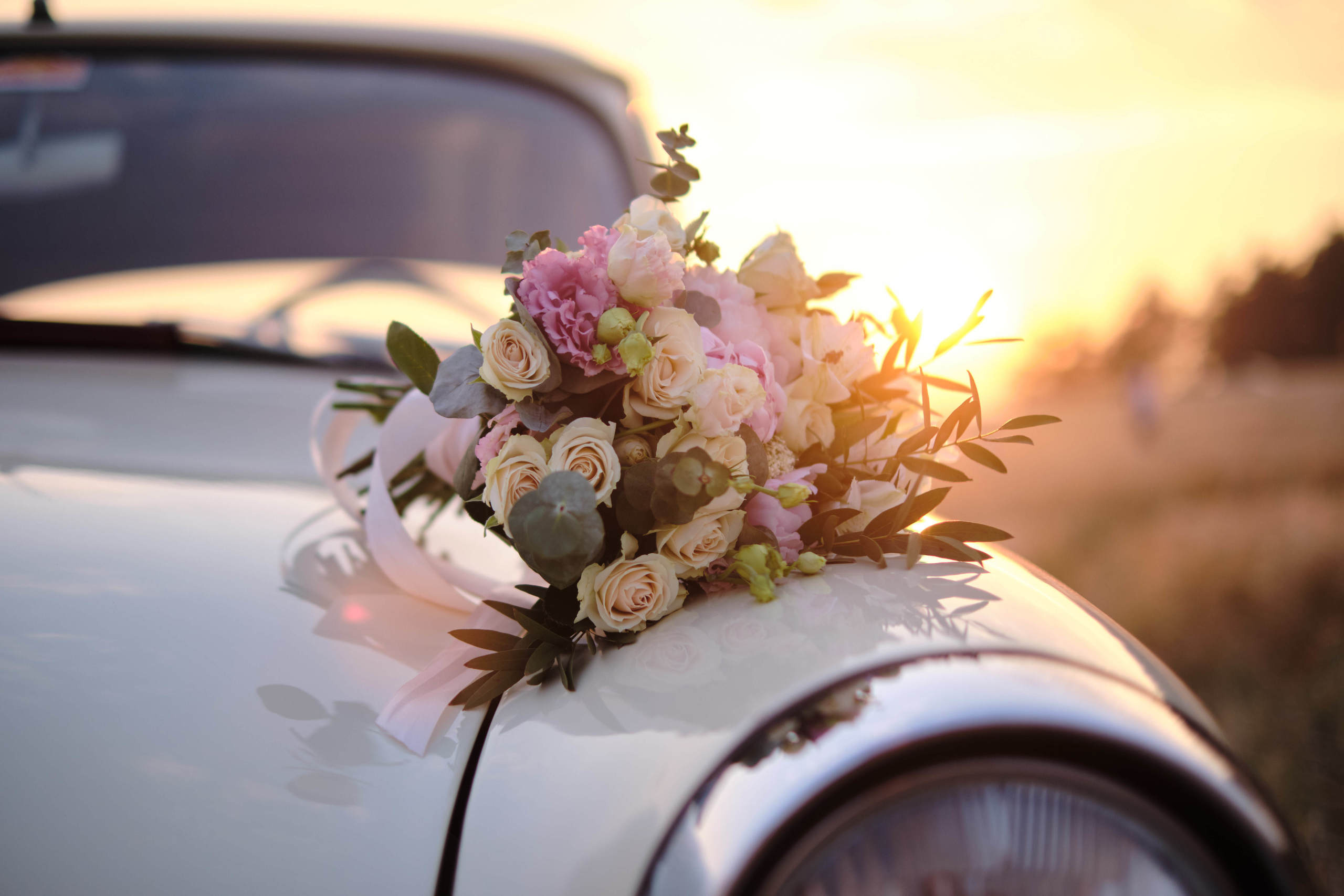 Волга в поле. Свадьба. Свадебный и портретный фотограф в Екатеринбурге Александр Блюденов