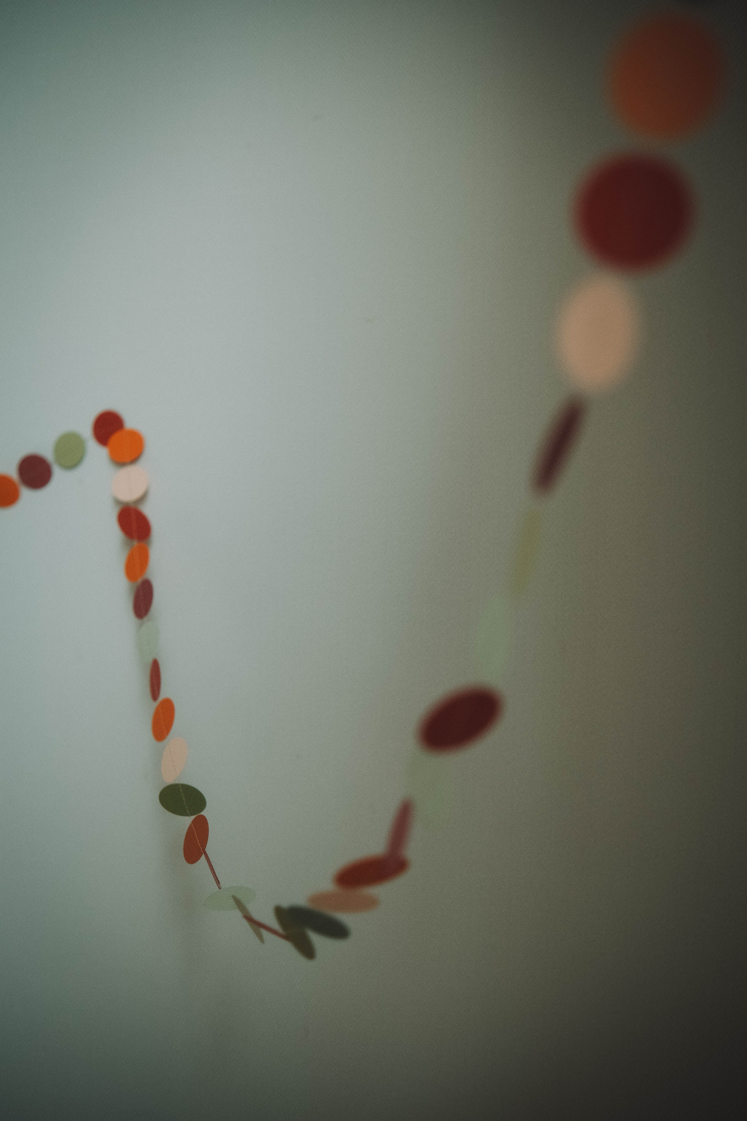 Катя и Саня. Видеограф и фотограф Анна Грачева г. Москва