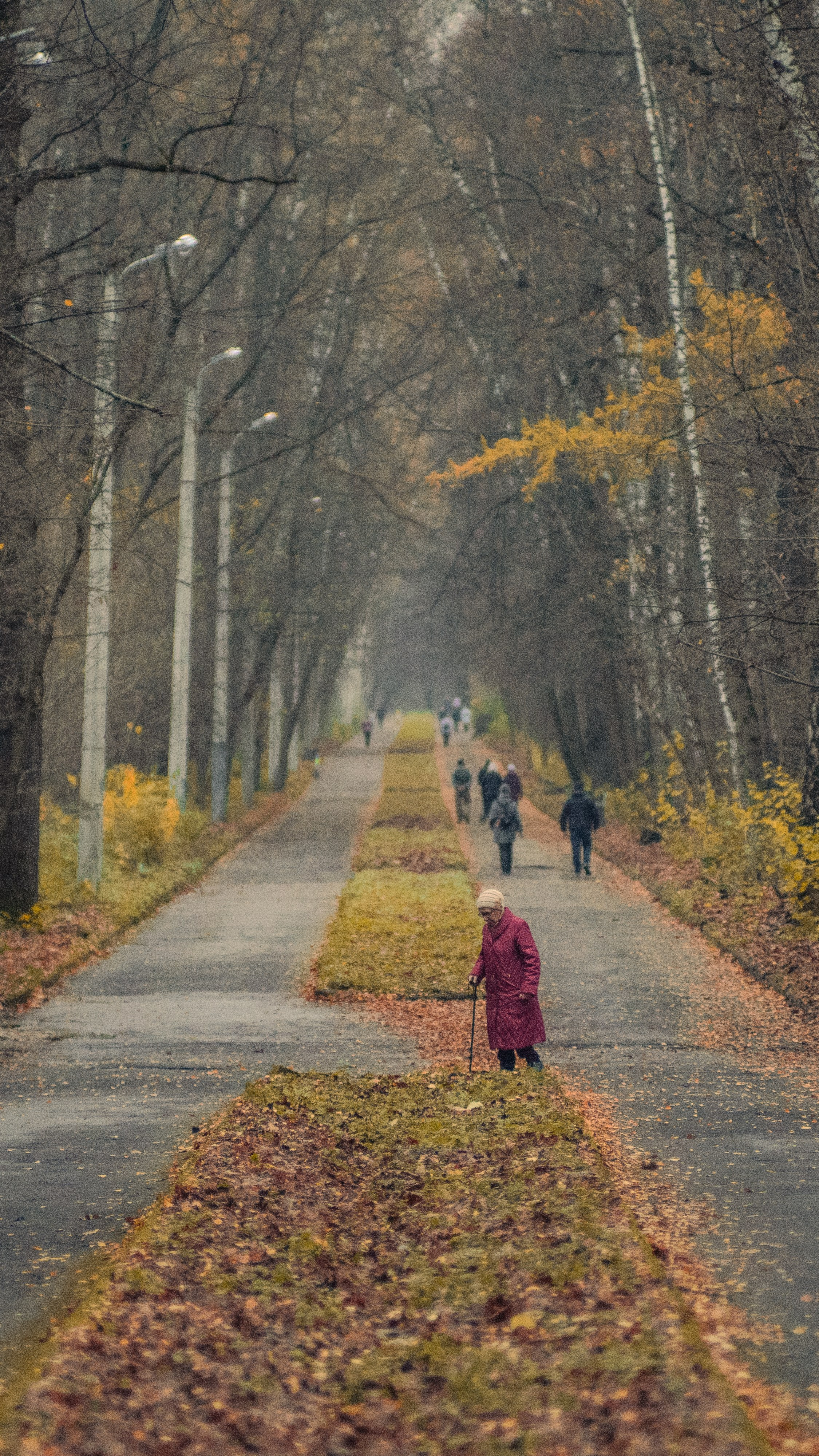 Autumn mood. MadGoose — Street photographer