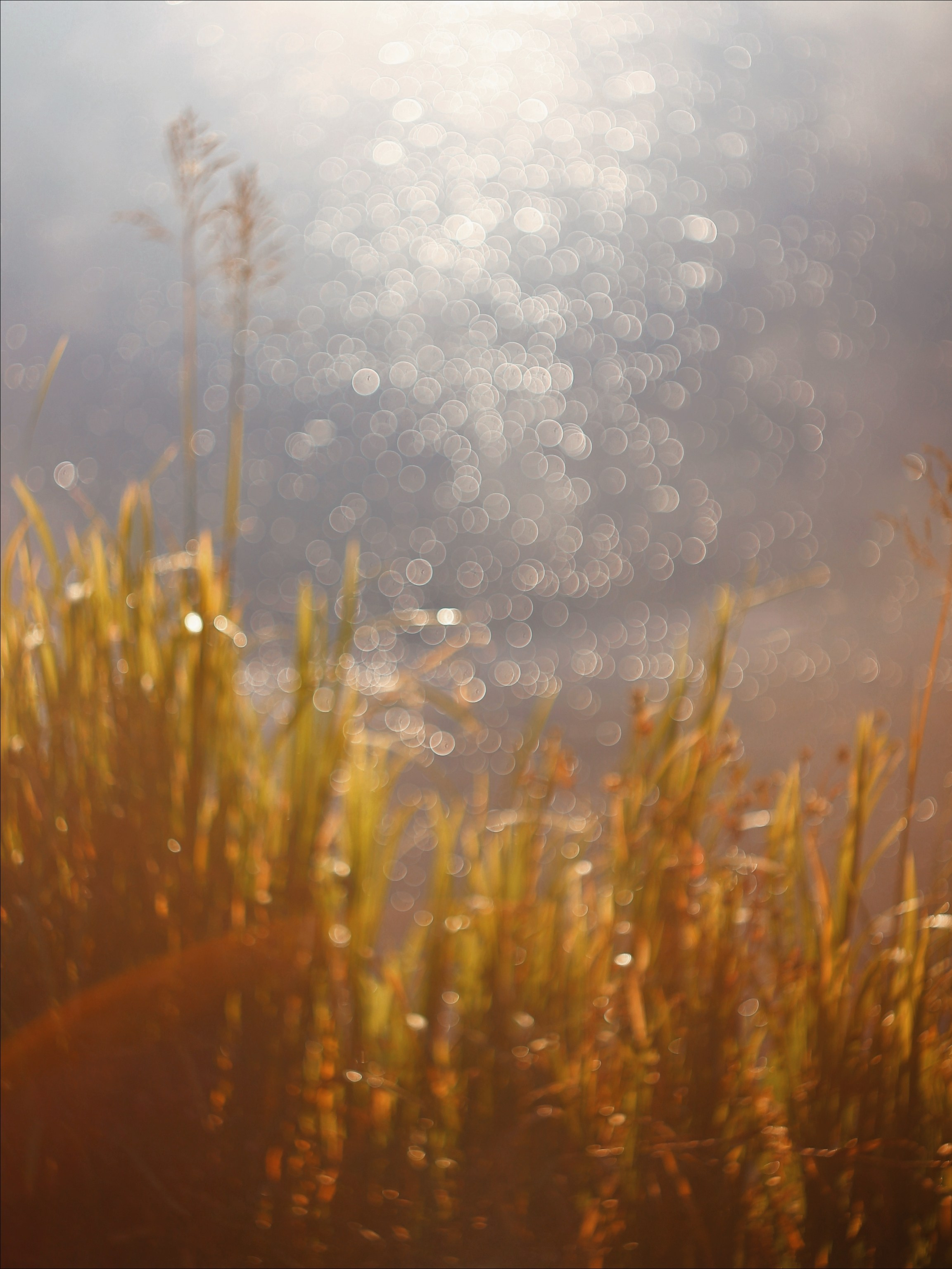 Эфемерность моментов. С любовью, фотохудожник