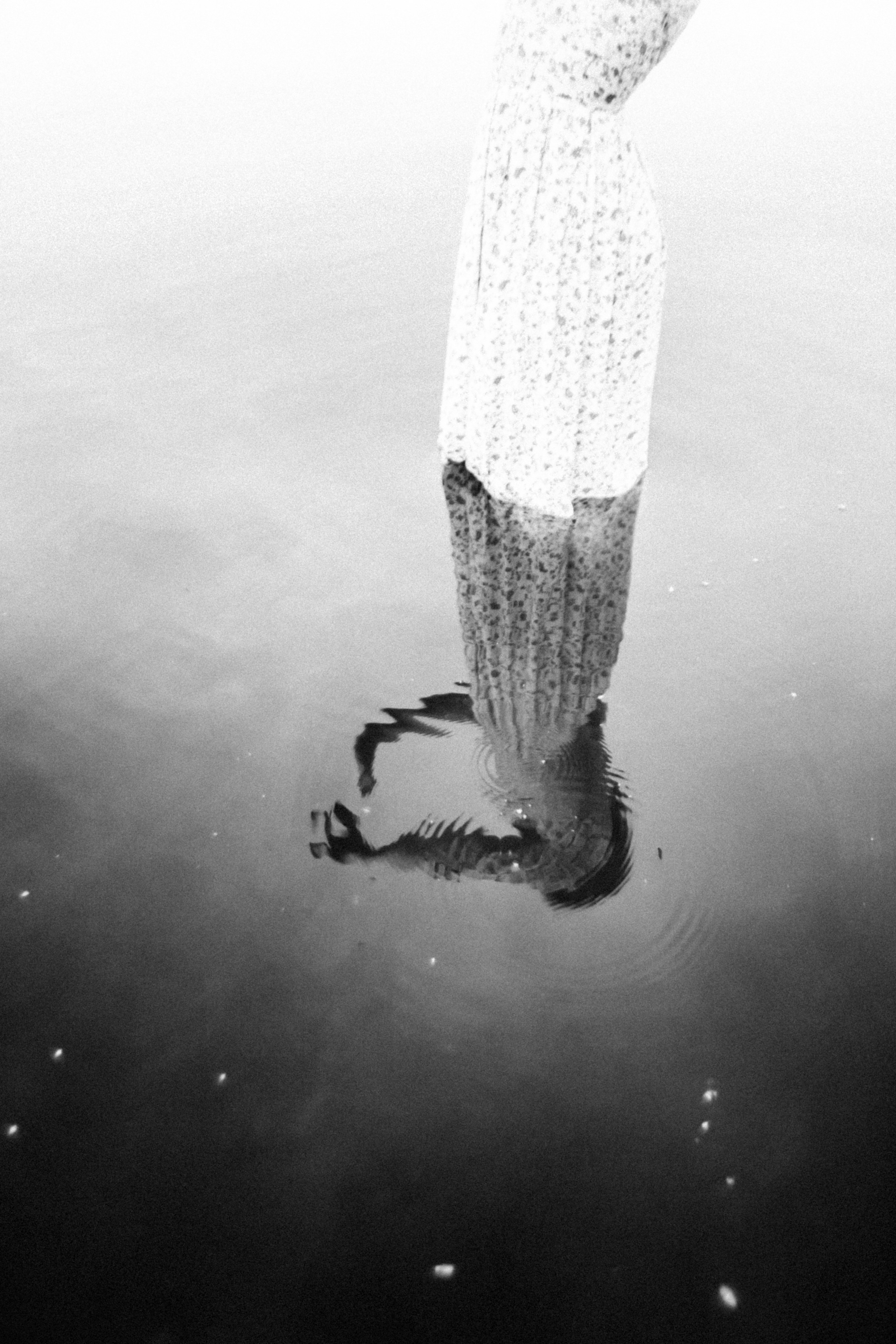 Лена. Рассвет над Окой. Фотограф в Нижнем Новгороде