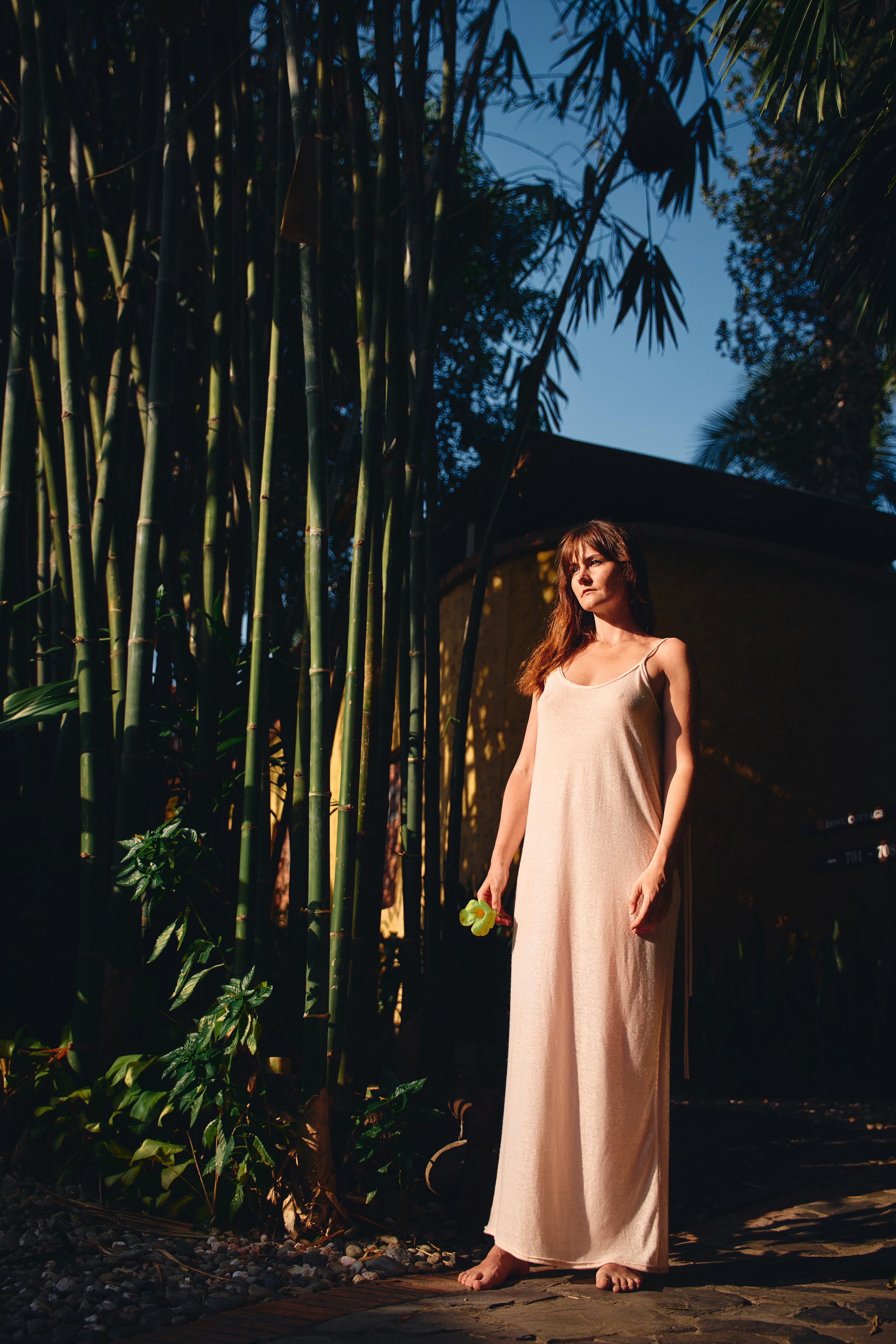 Viet. SAVA Photographer