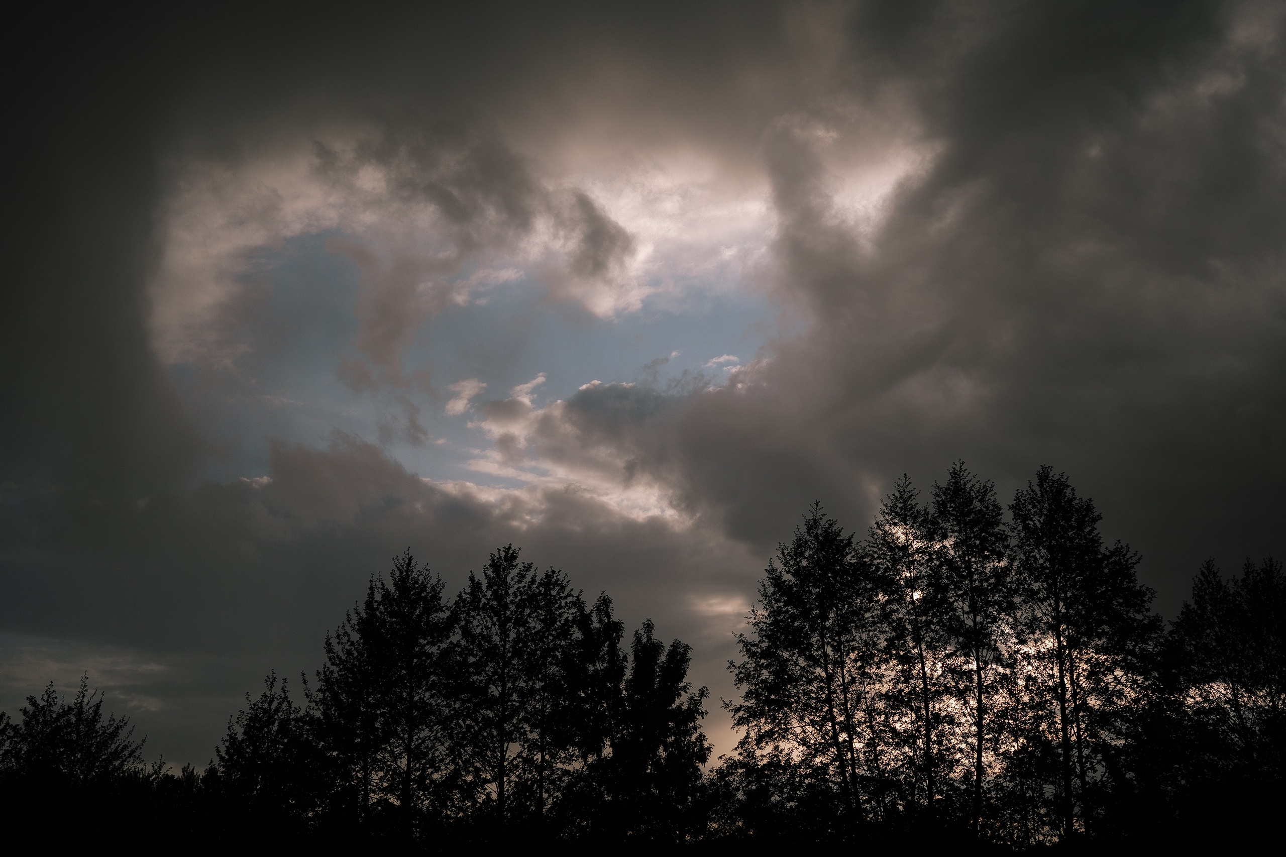 Виталий Елена. Свадебный фотограф Воронеж