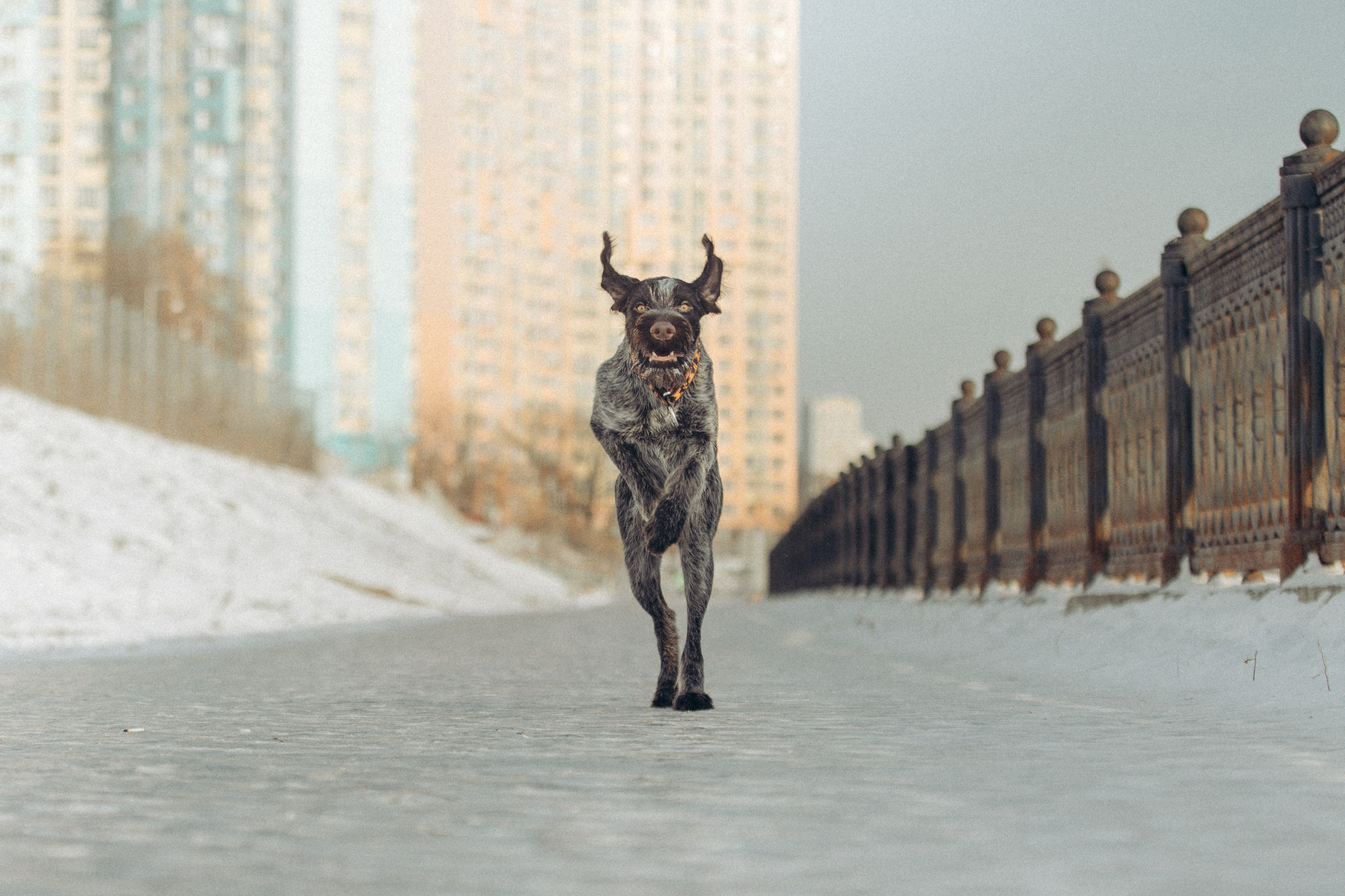 Фотограф Ирина Астор