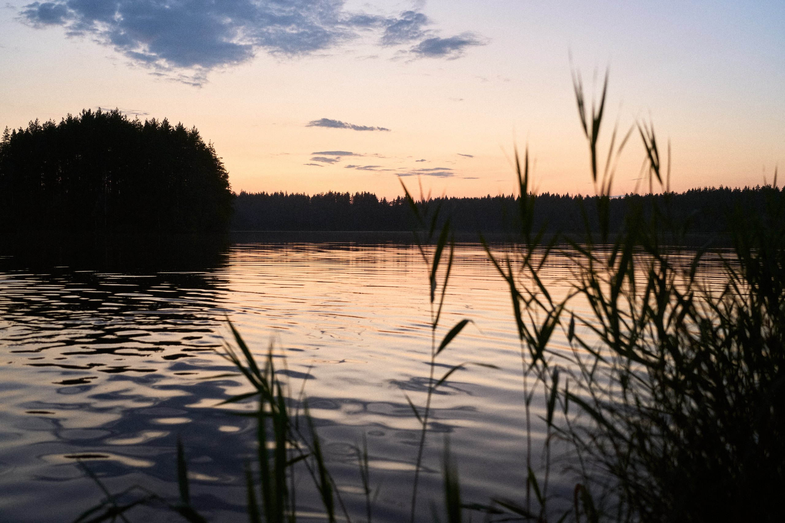 No Way Fest 2.0. Иван Кобяков