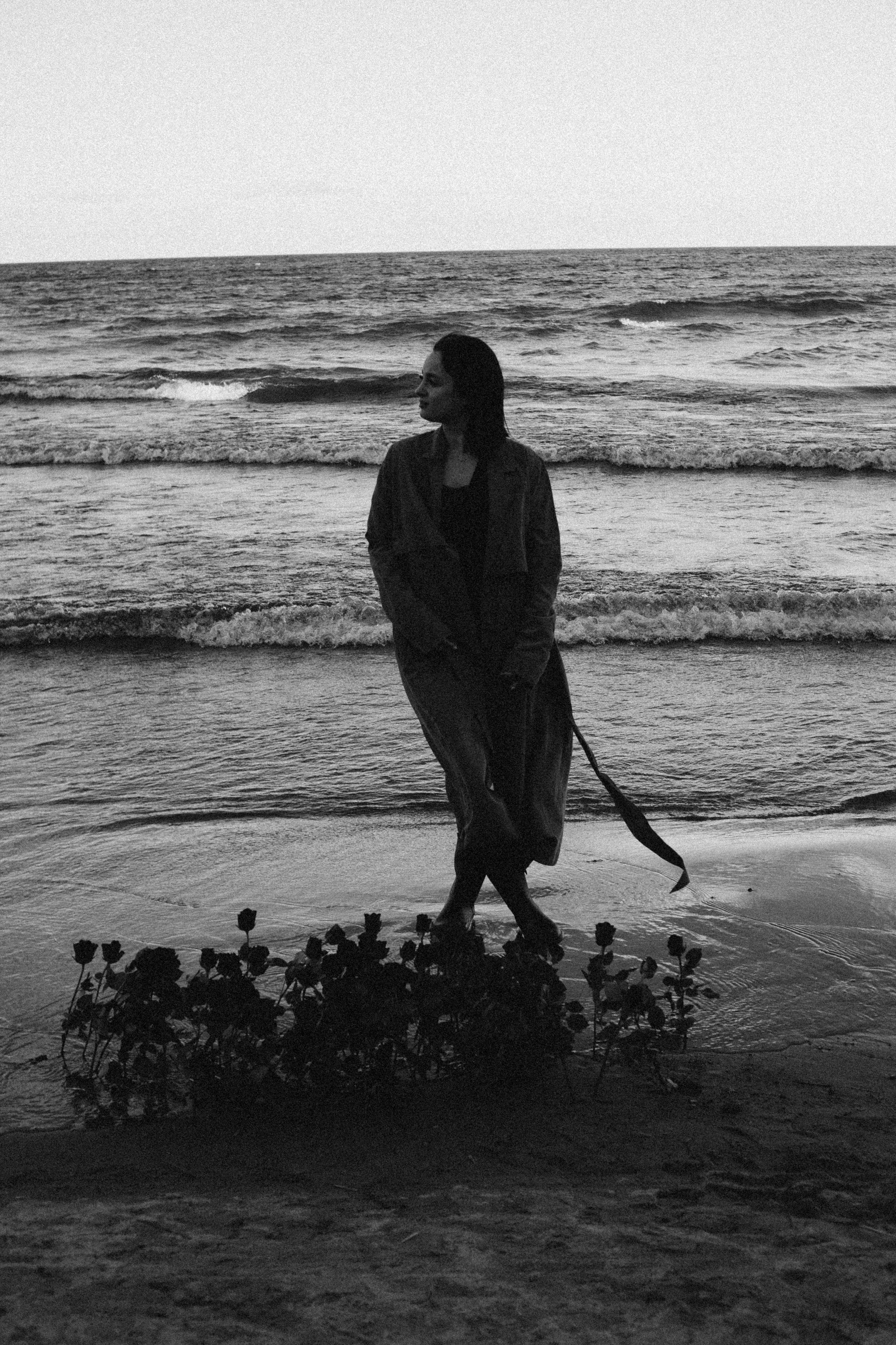 Розы. Профессиональный фотограф, Санкт-Петербург — Виктория Богомолова