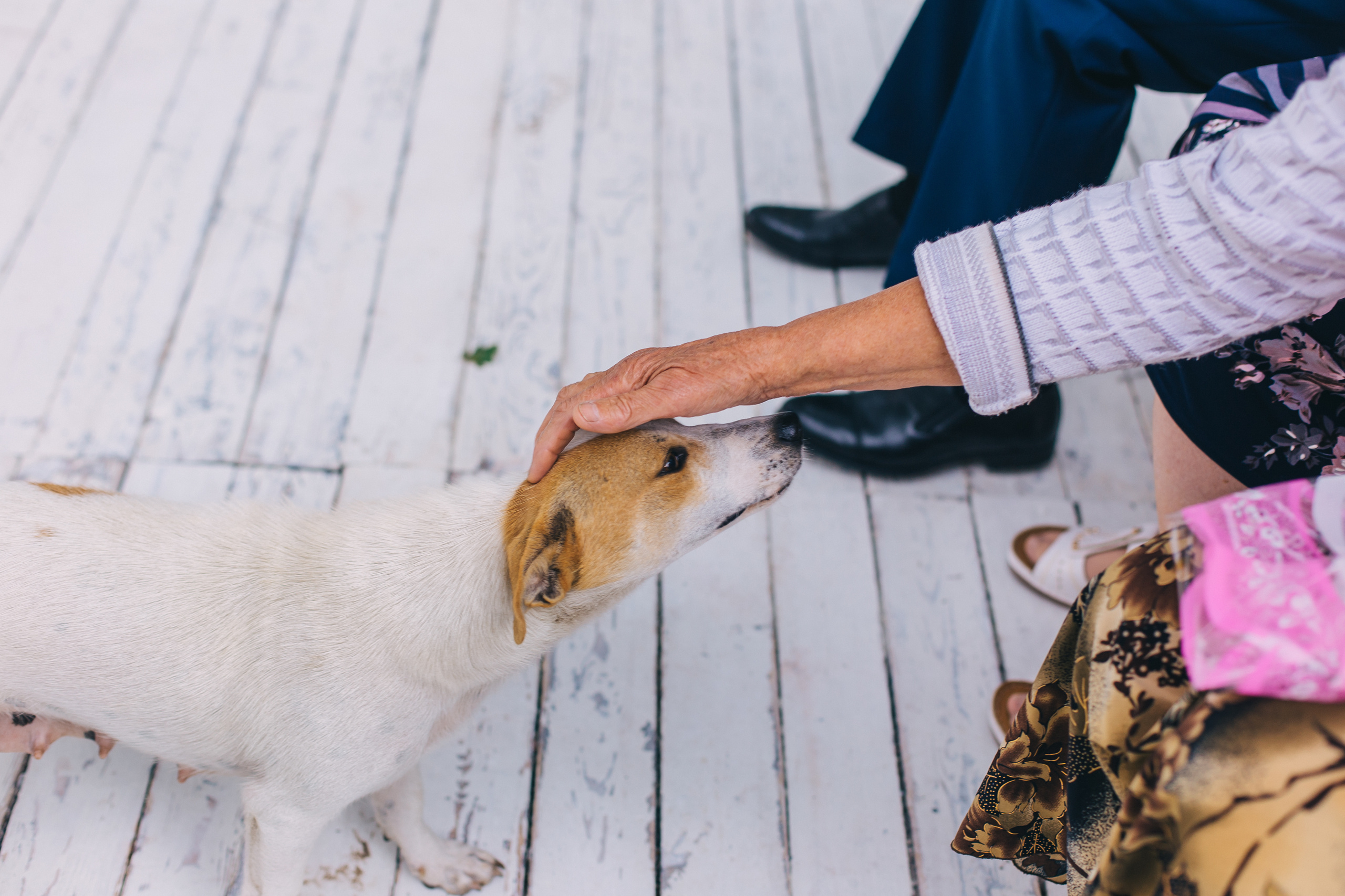 Кристина и Сергей. Свадебный фотограф и видеограф Когай Дмитрий и Юлия