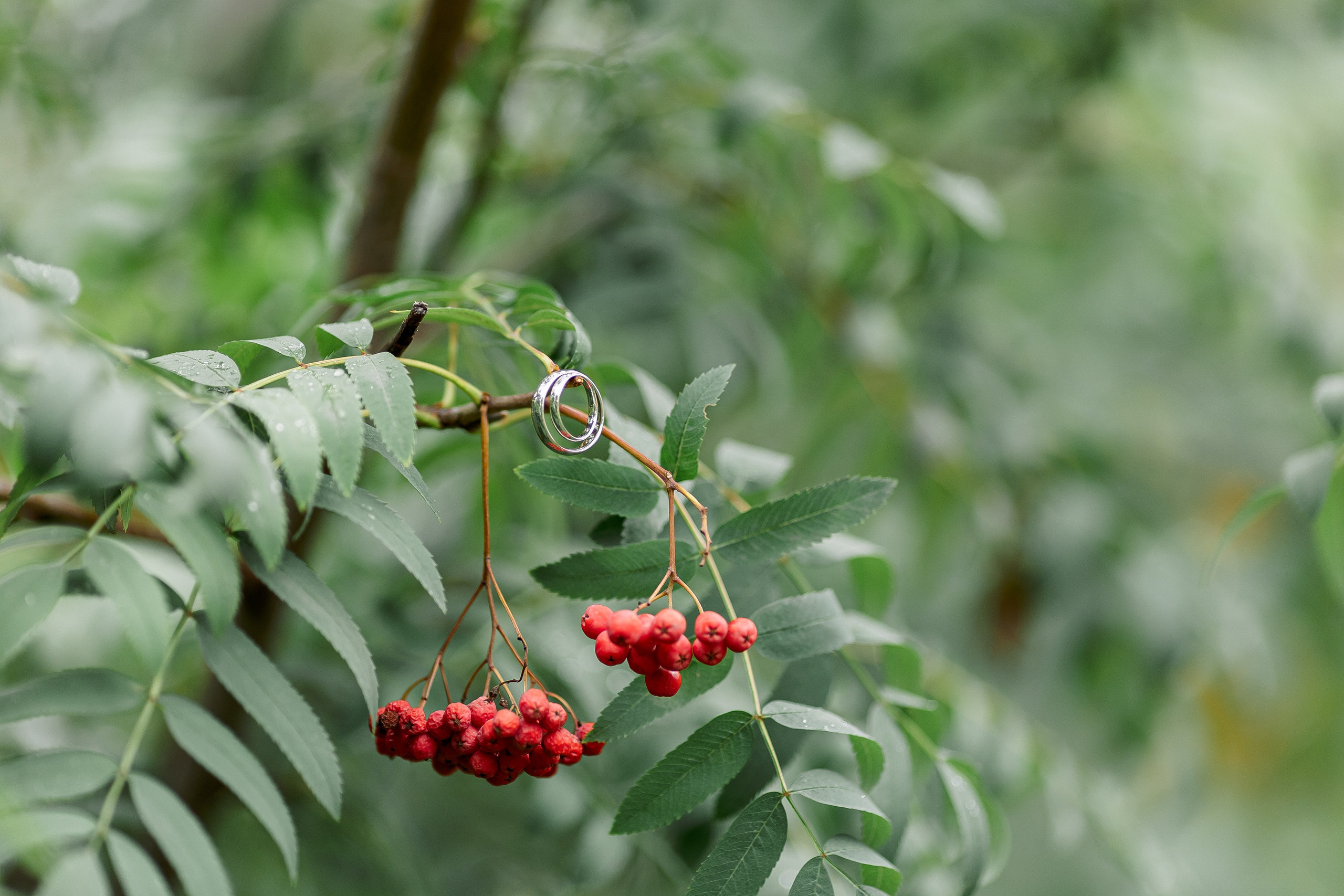 Свадьба Екатерина и Александр. Свадебный и семейный фотограф в Челябинске Юлия Ишимова