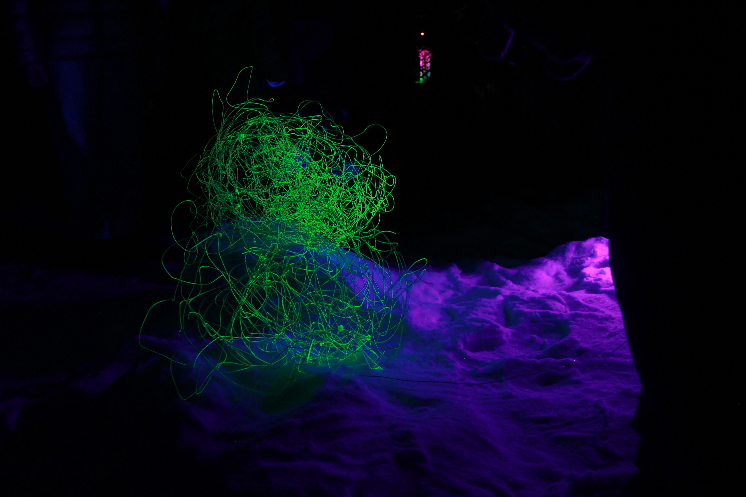 НЕ ТЕМНО 2024